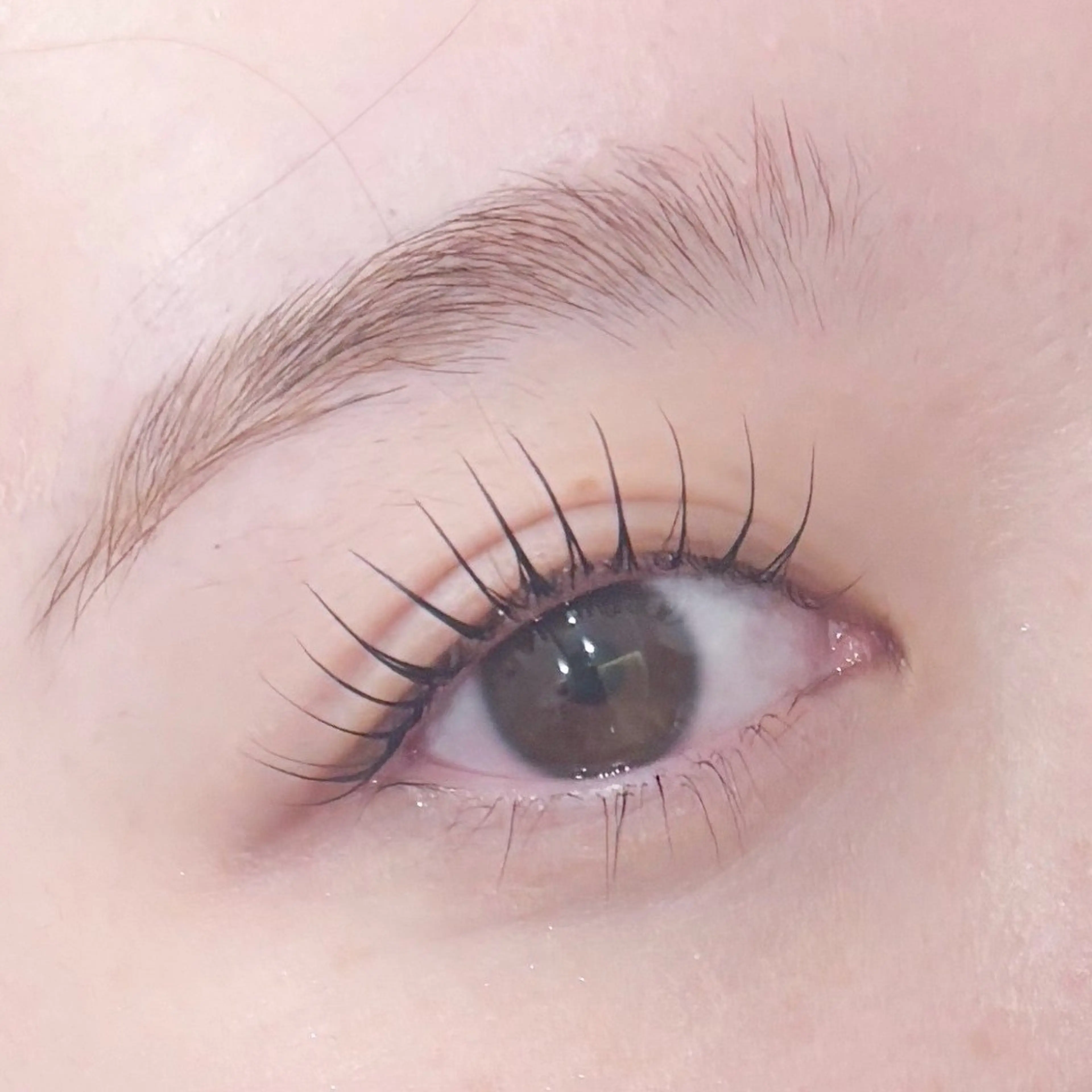 マツエク・マツパ ALBA 札幌|円山のマツエク・マツパデザイン