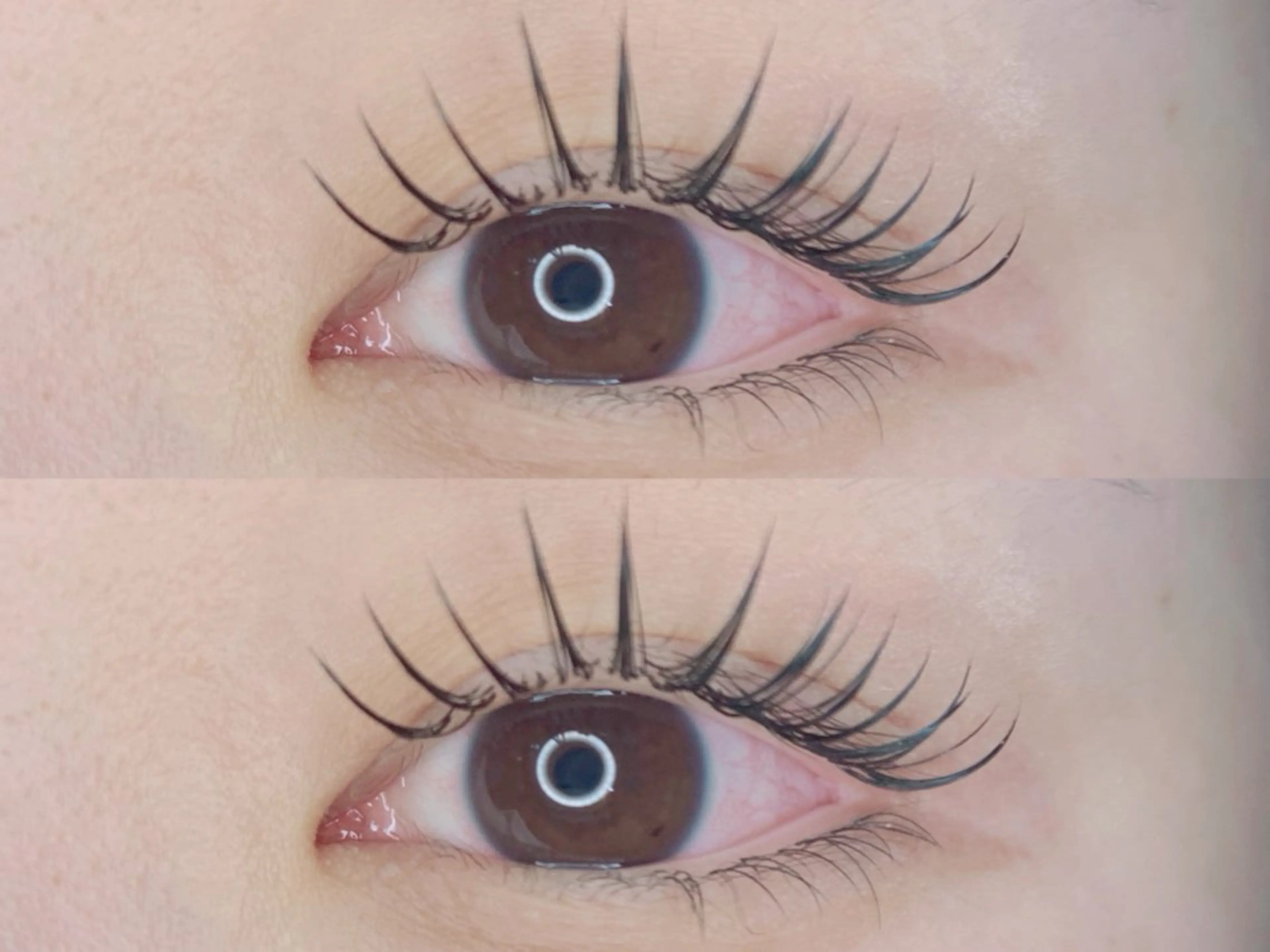 フラットマットラッシュ下まつげ30本2700円▶︎1700円🩷の写真