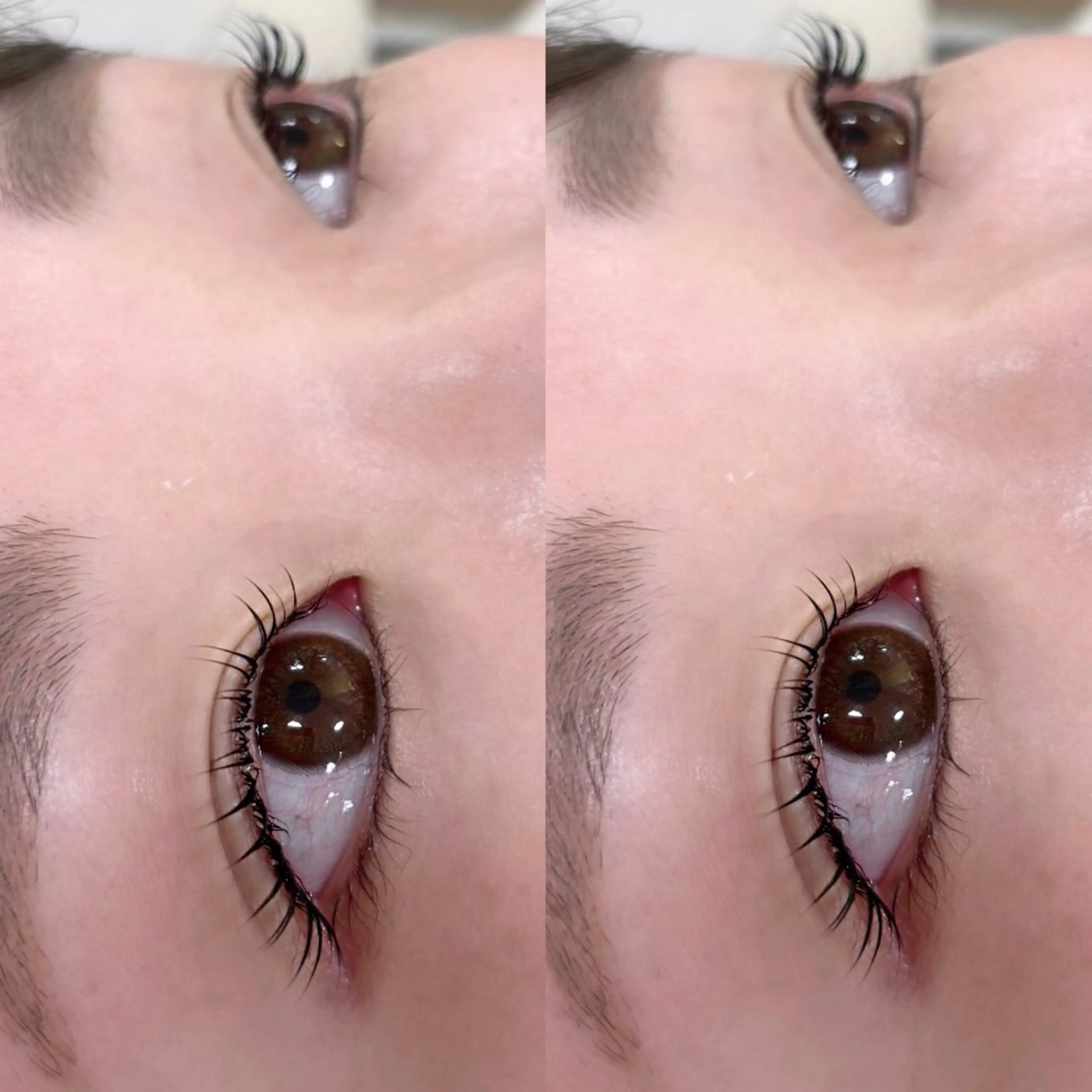 メーテルラッシュリフト🌷🎶【4月25日限定】⚠️時間指定がございますの写真