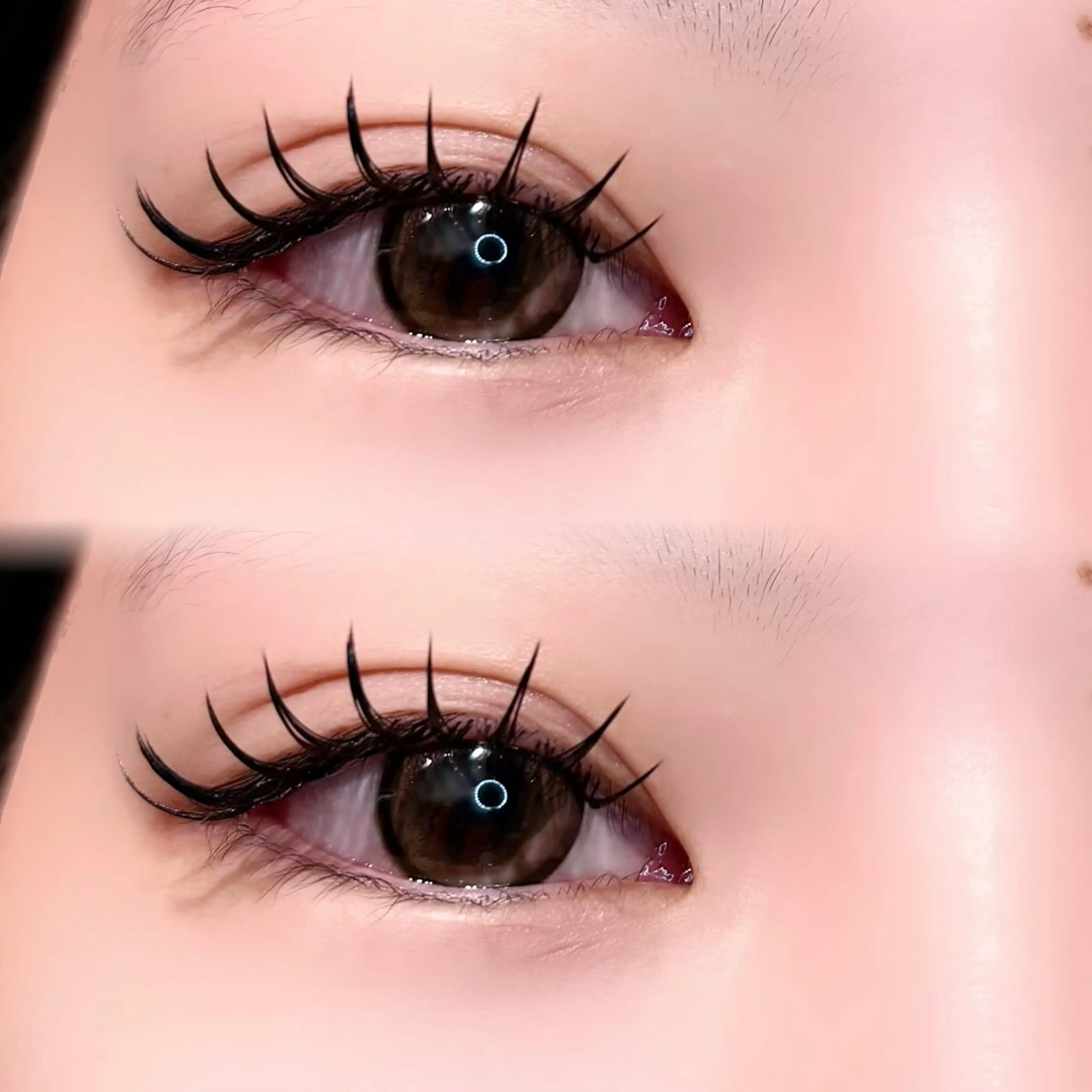 🔒バインドロック80束🔓オフ無料**コーティング付⭐︎新規¥6300/再来¥6900の写真