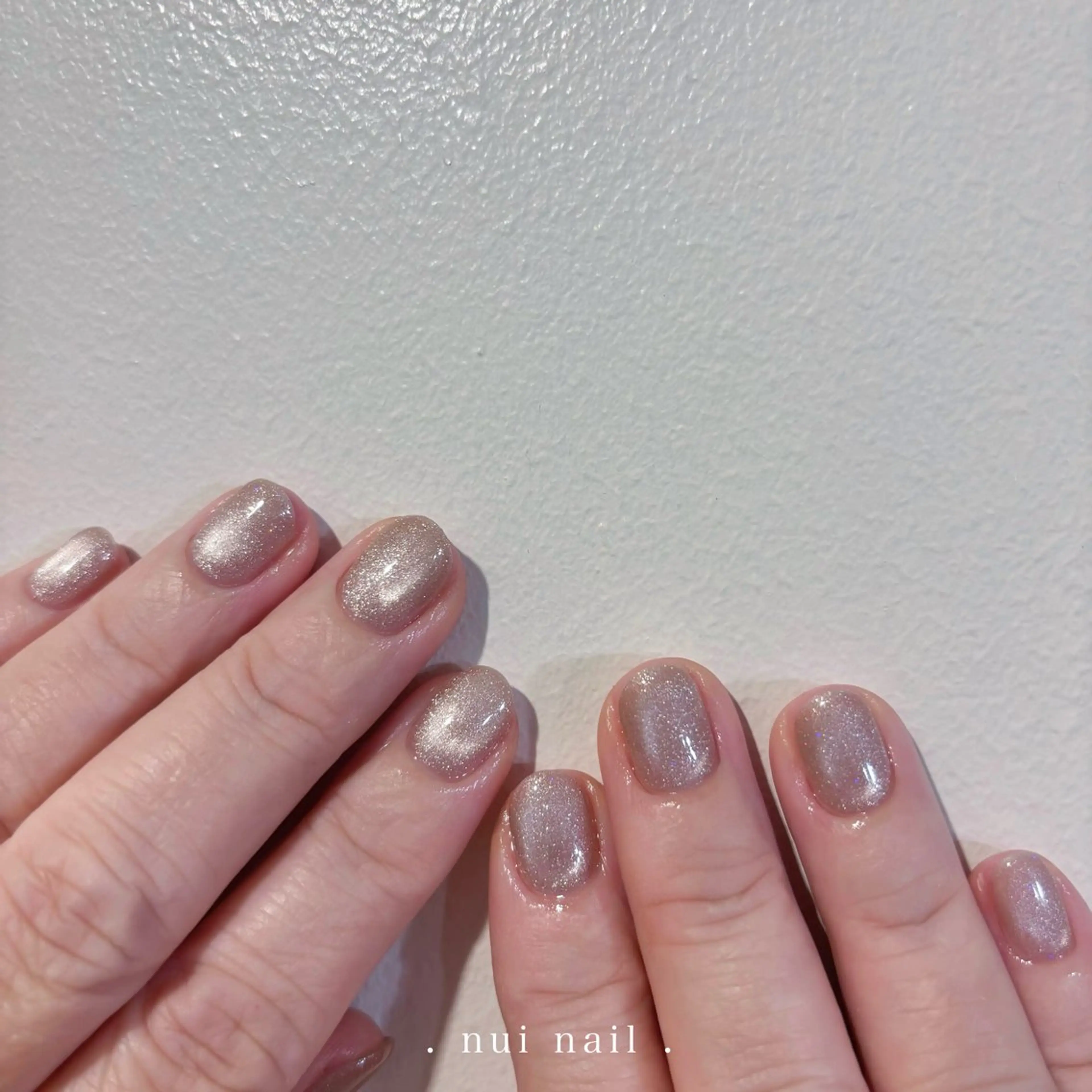 ネイル マグネットネイル ハンドネイル nui nailのネイルデザイン