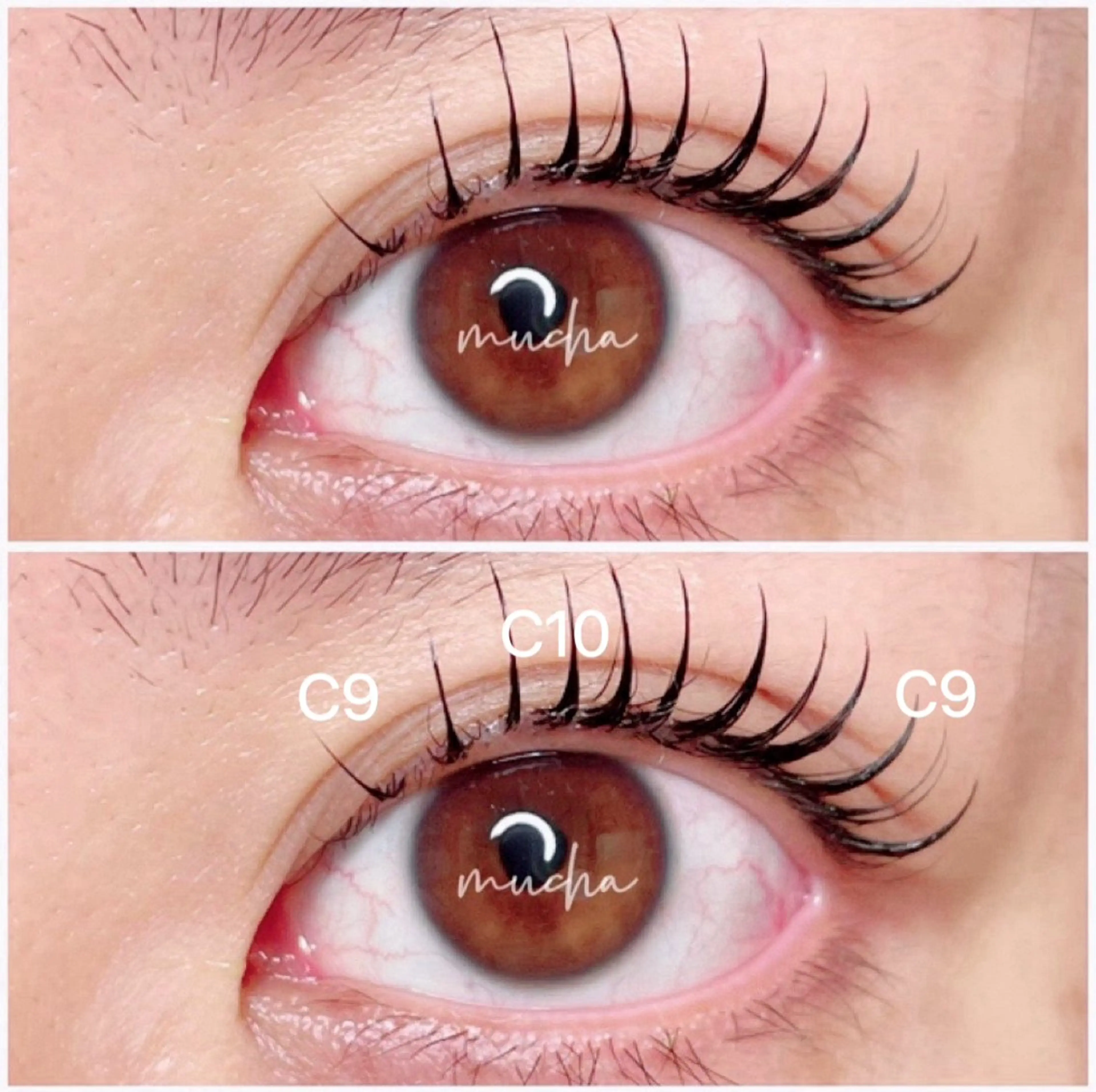 マツエク・マツパ Cカール フラットラッシュ マツエク eyelash muchaのマツエク・マツパデザイン