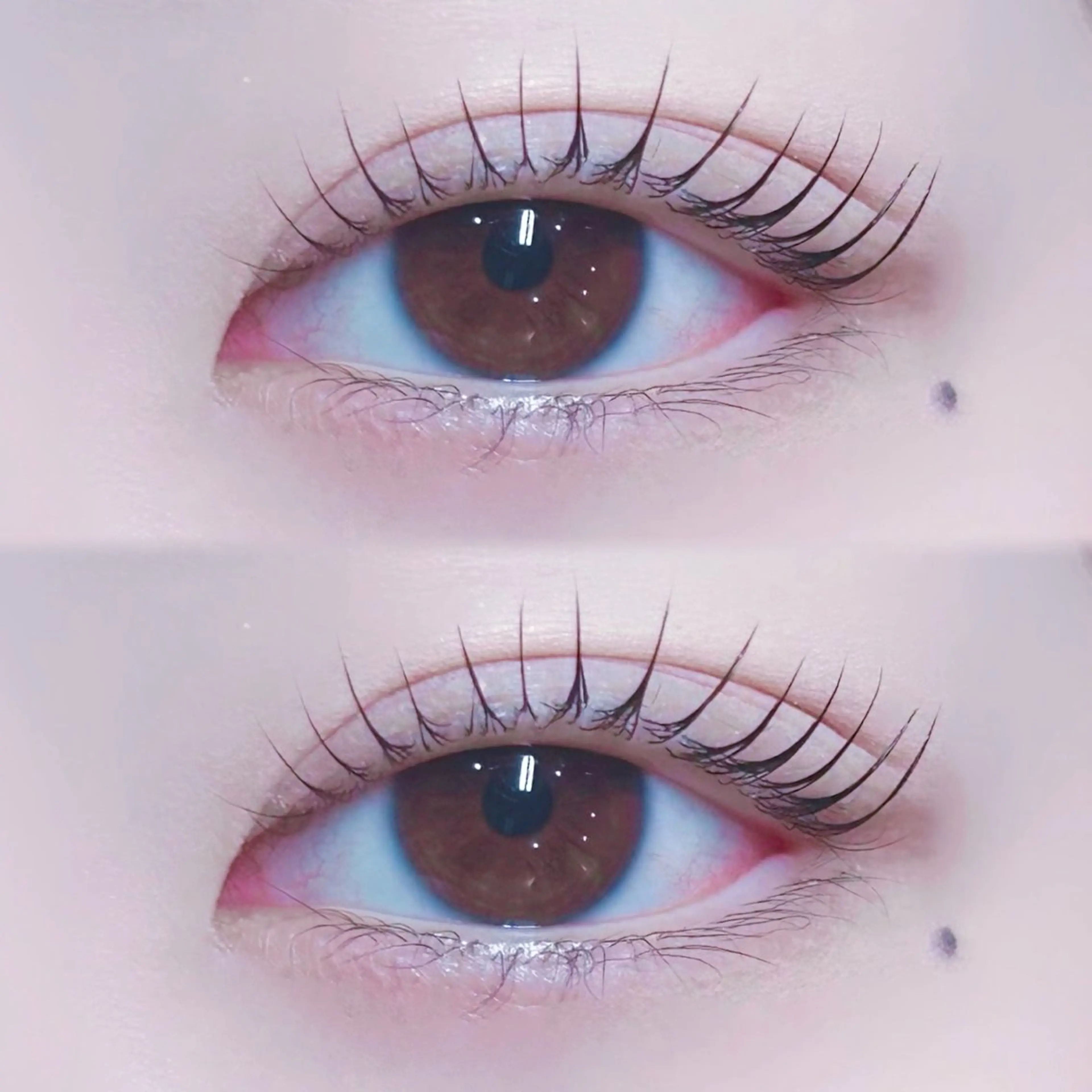 マツエク・マツパ パリジェンヌラッシュリフト 【 SHE:P 】 まつだのマツエク・マツパデザイン