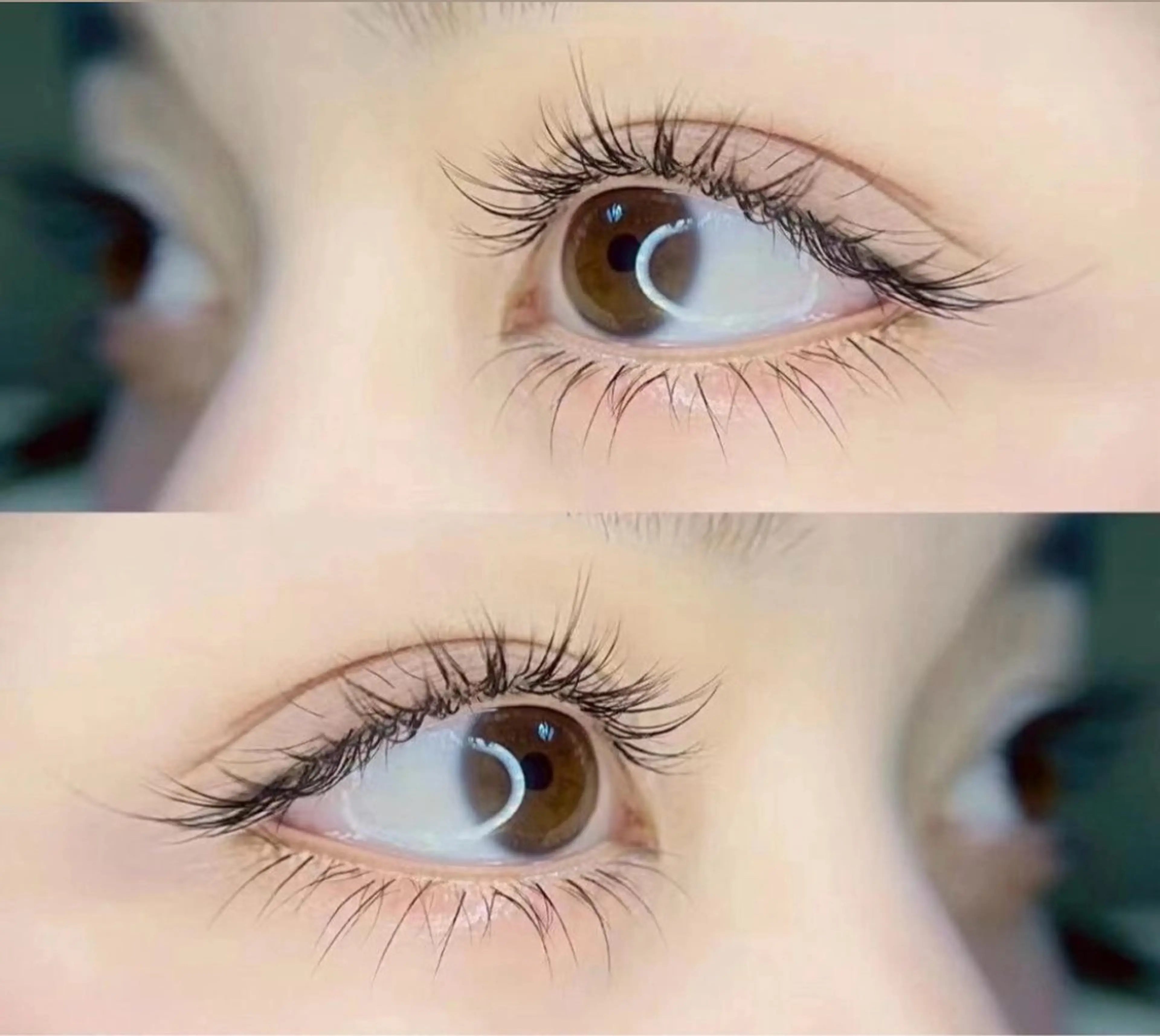 フラットラッシュ100本の写真