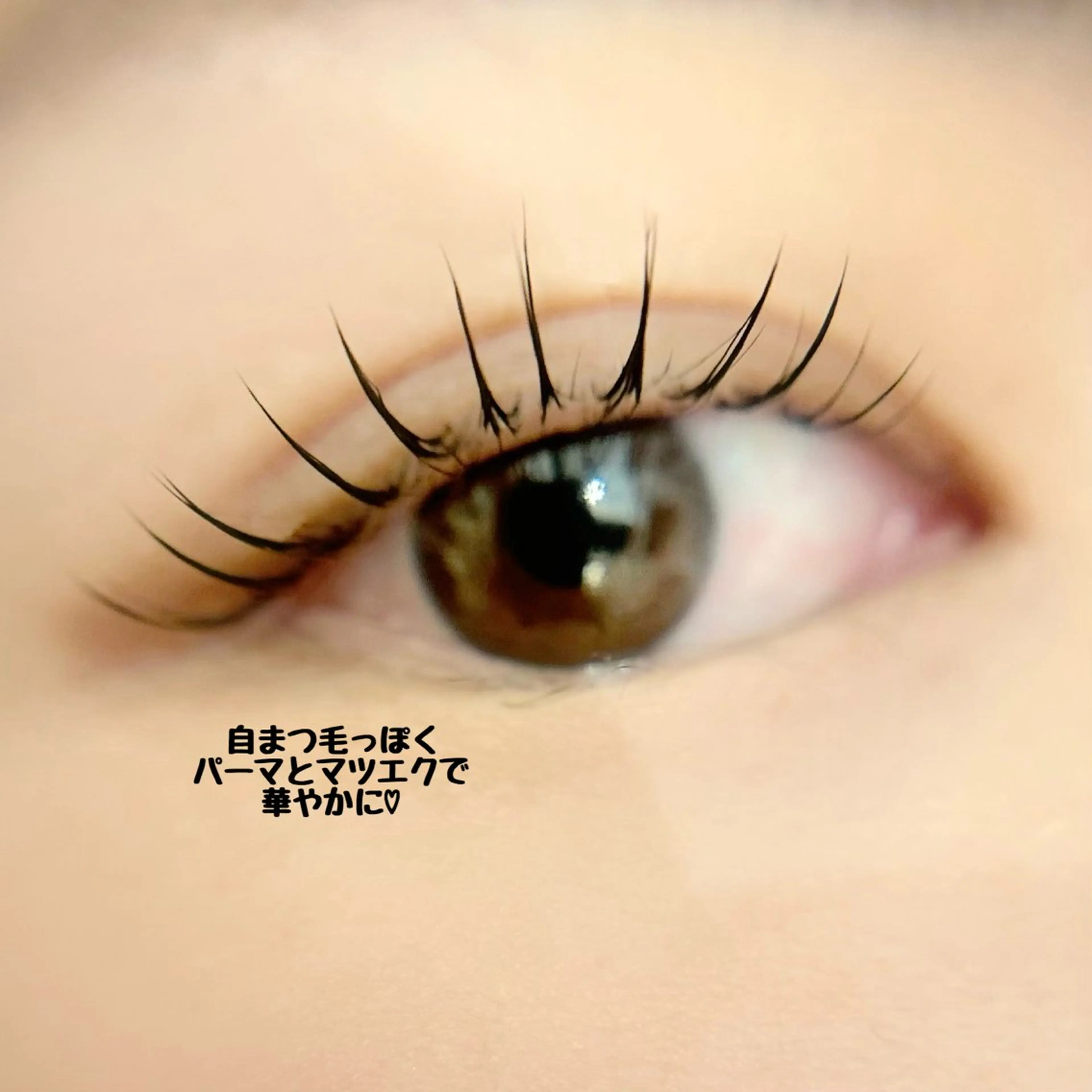 マツエク・マツパ 束感まつ毛 ナチュラル まつげパーマ マツパ Tomo◇ Élanのマツエク・マツパデザイン