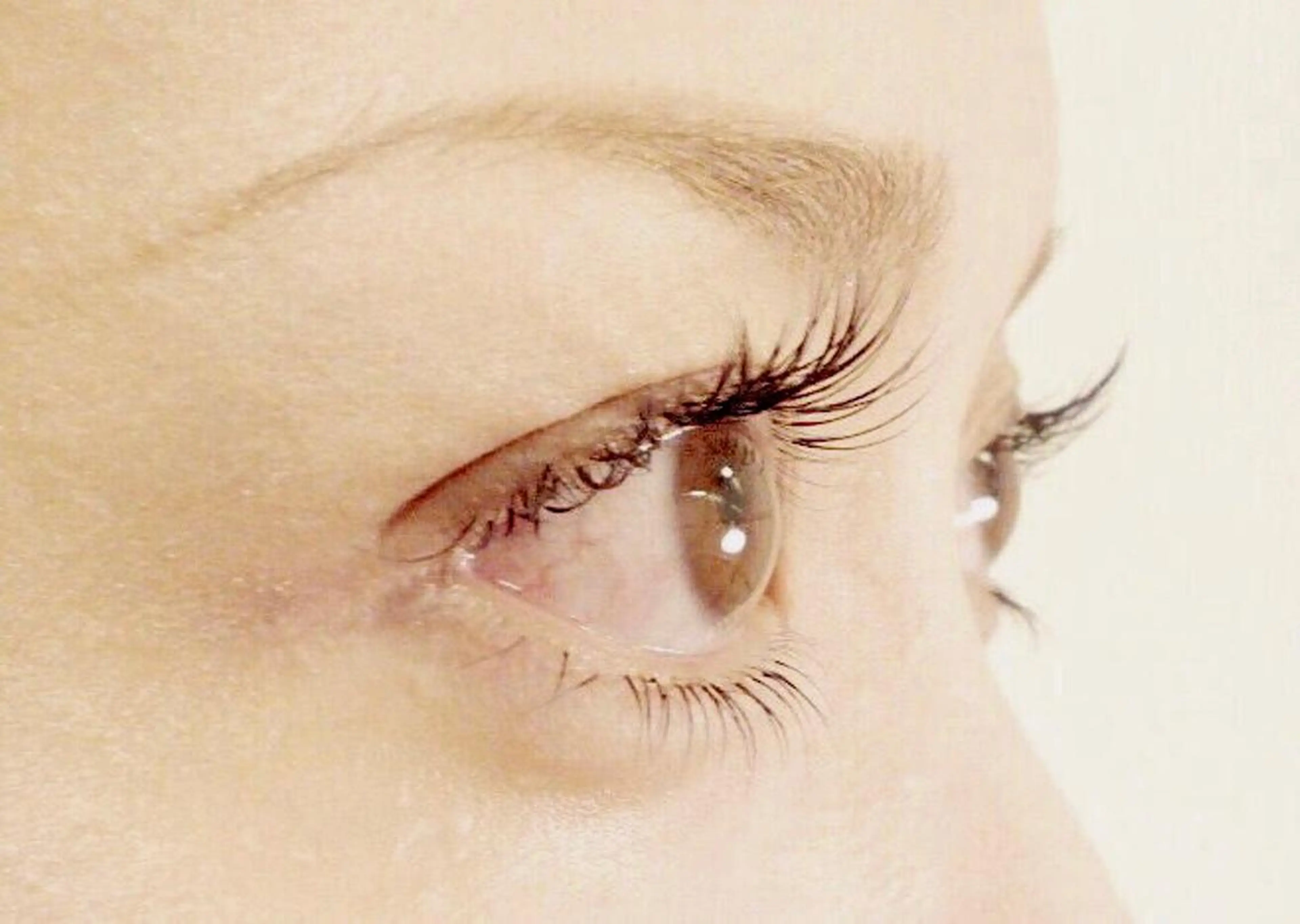 まつ毛エクステ 80本　1ヶ月以内引有　　　　　　フラット+200円　カラー+200円　　　　エクステオフ320円の写真