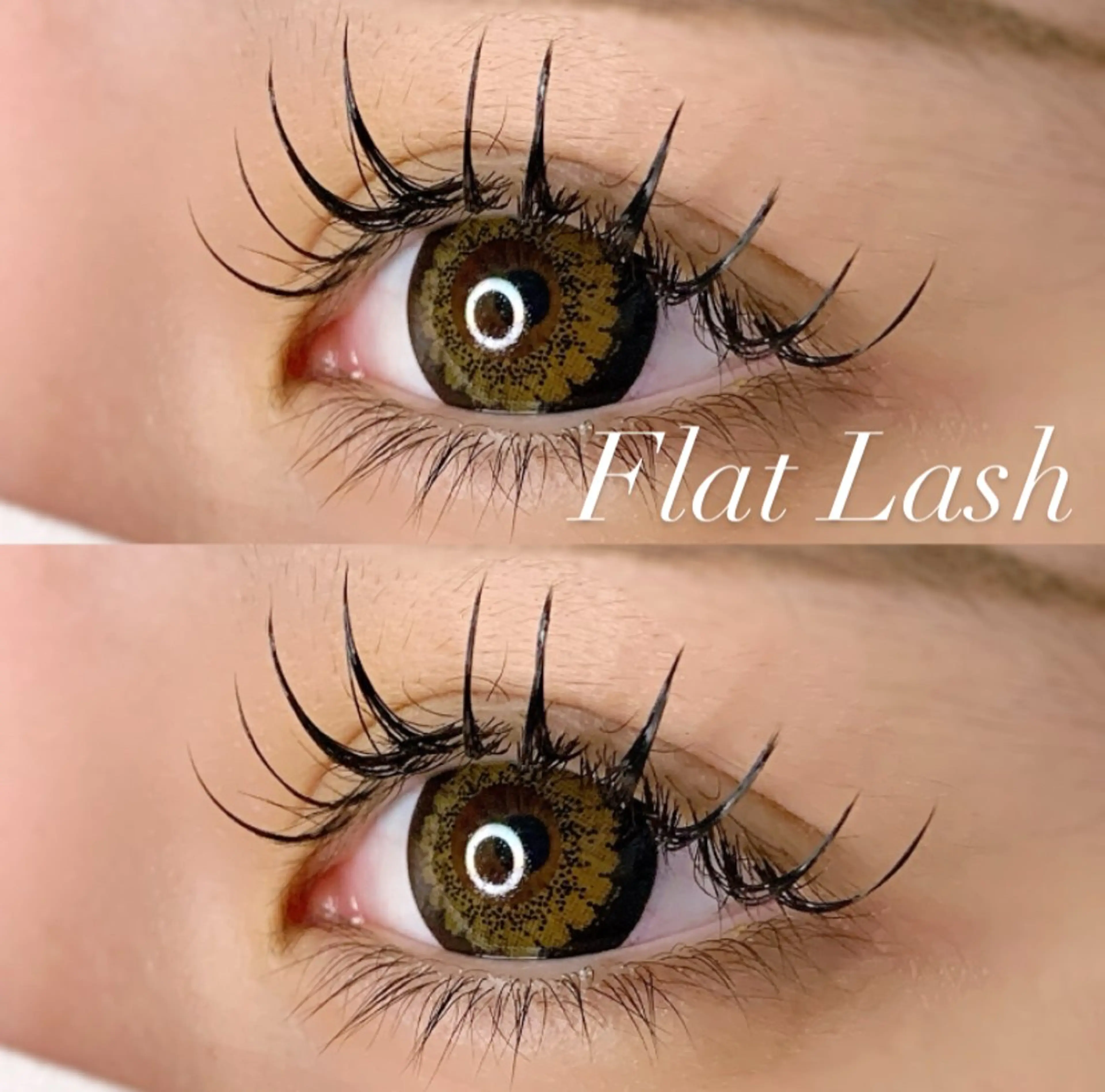 マツエク・マツパ Dカール フラットラッシュ マツエク Ayumi.pro 🍆N《4階》のマツエク・マツパデザイン