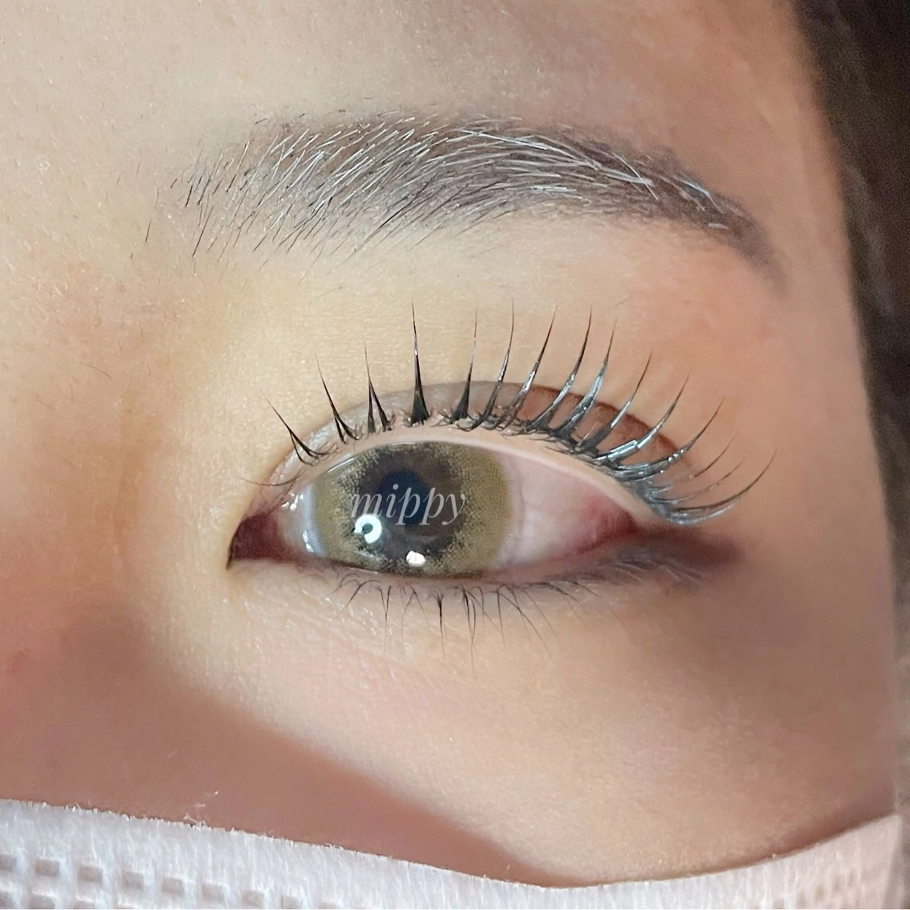 マツエク・マツパ マツパ ｍｉｐｐｙ 🪽のマツエク・マツパデザイン