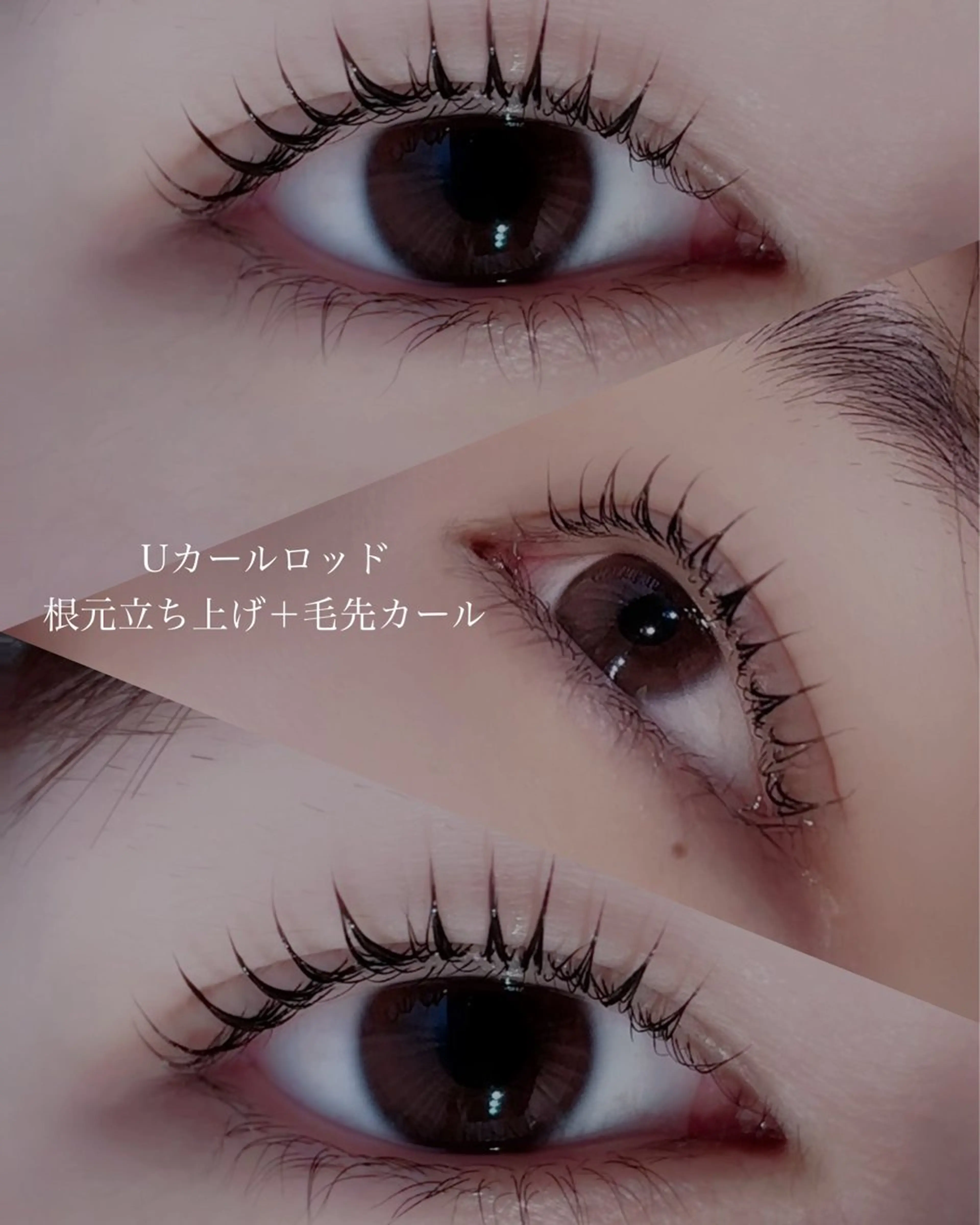 ãããšã¯ã»ããã äžŠæš ç¶Ÿè±ã®ãããšã¯ã»ããããã¶ã€ã³