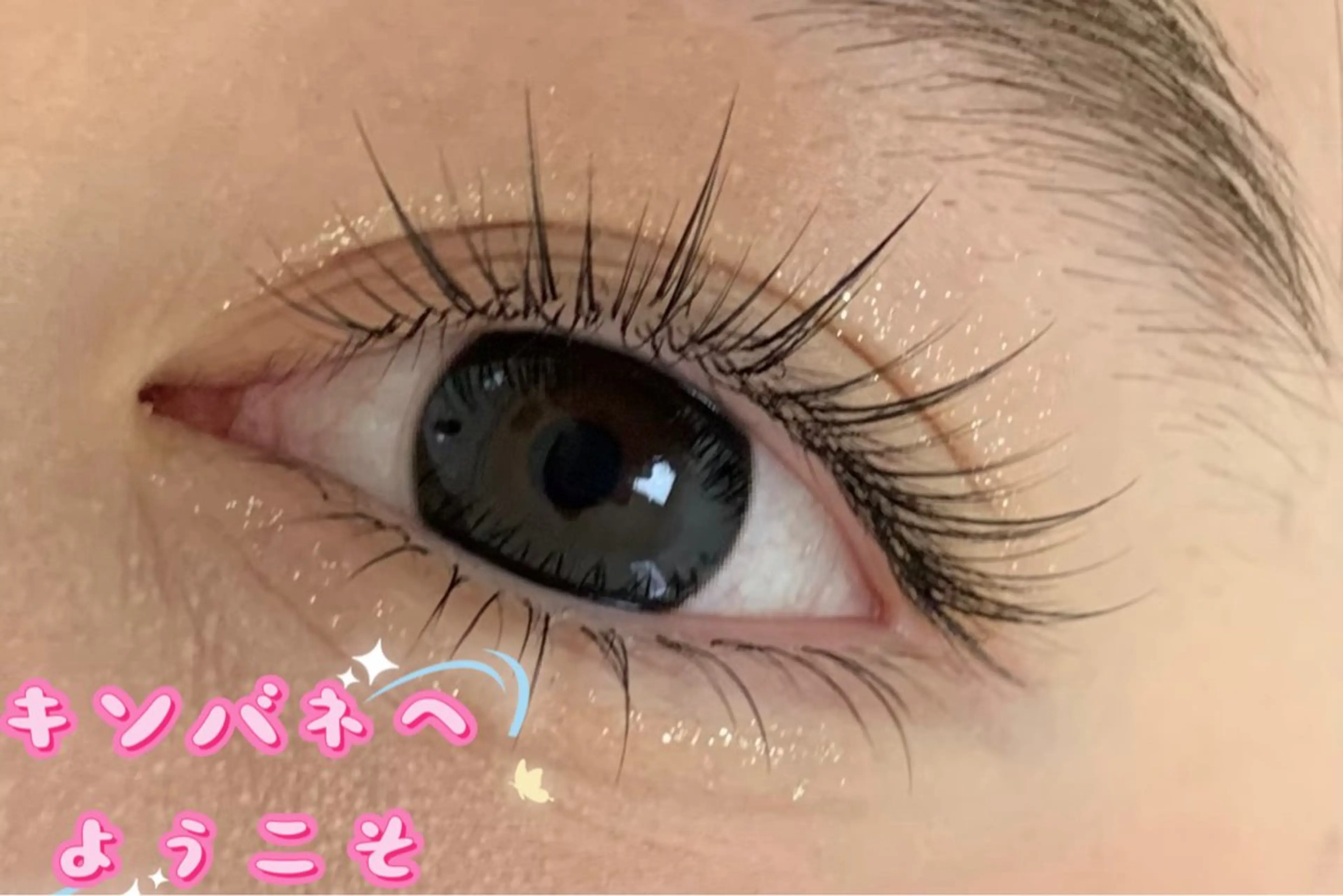 マツエク・マツパ 韓国風マツエク パリジェンヌラッシュリフト まつげパーマ 下まつげエクステ 一重×まつ毛パーマ マツエク キンバネ・サロン 高田馬場店のマツエク・マツパデザイン