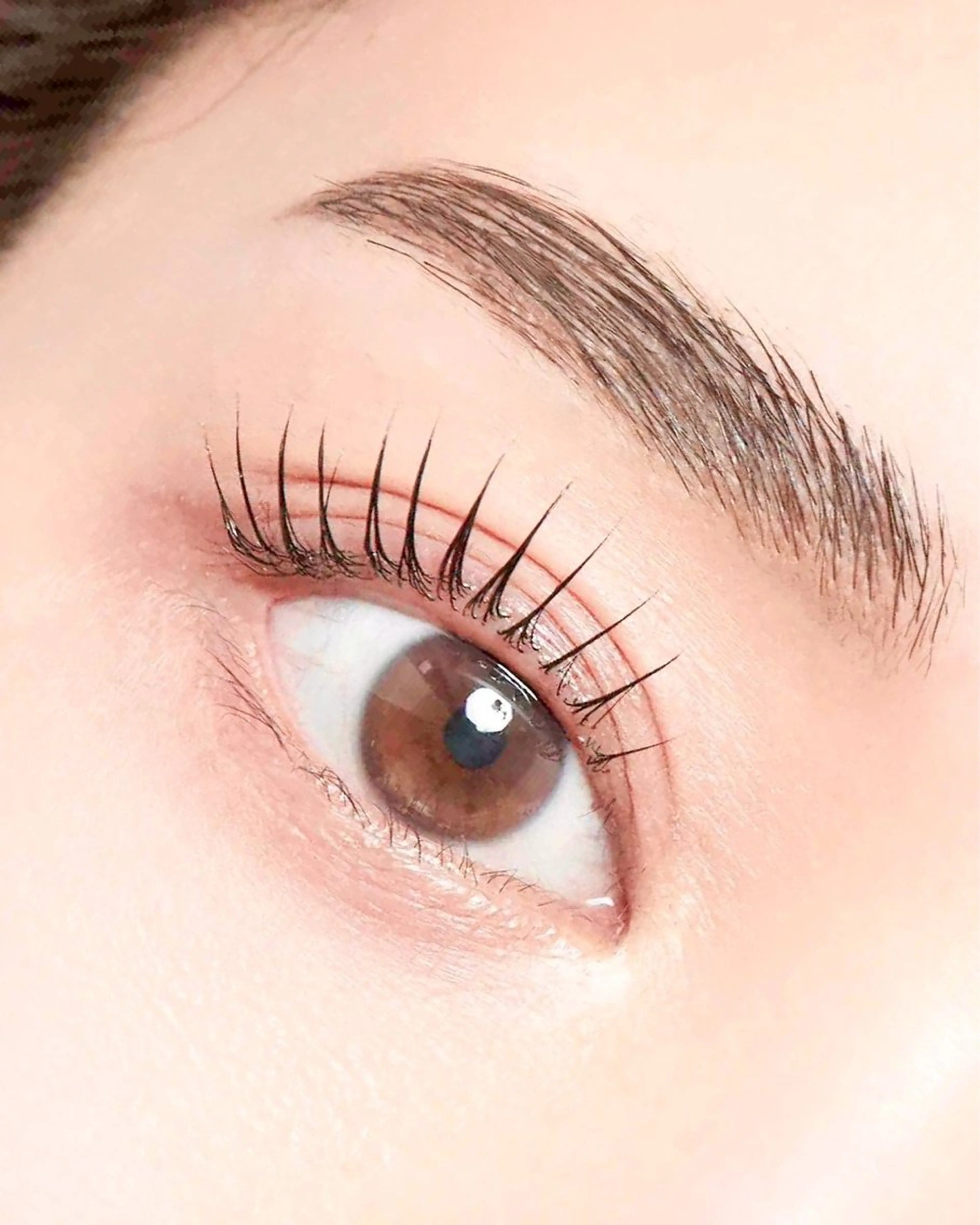 🐰まつ毛パーマ&アイブロウワックス🤍✨の写真