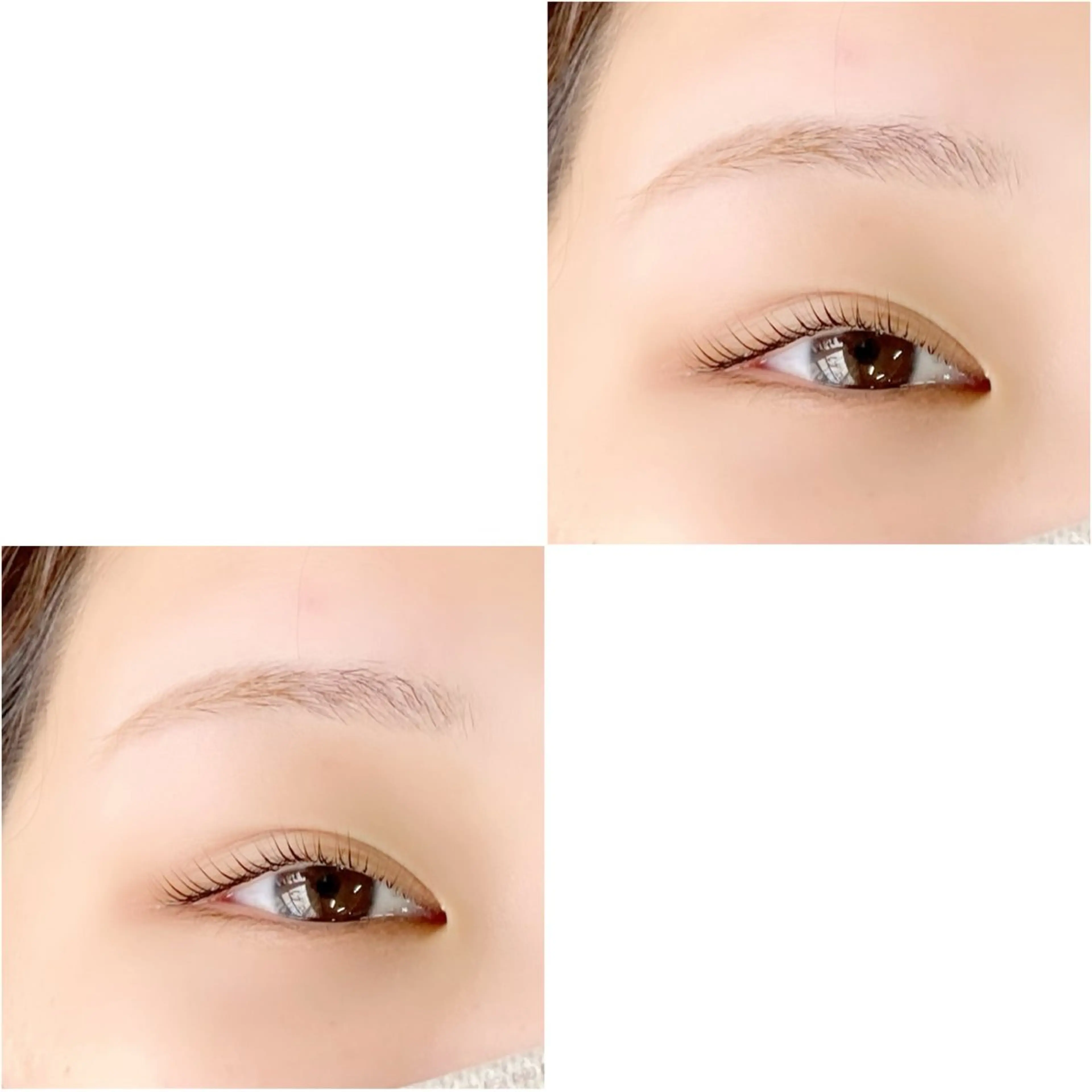 マツエク・マツパ Y.eyelash 赤羽/志茂のマツエク・マツパデザイン