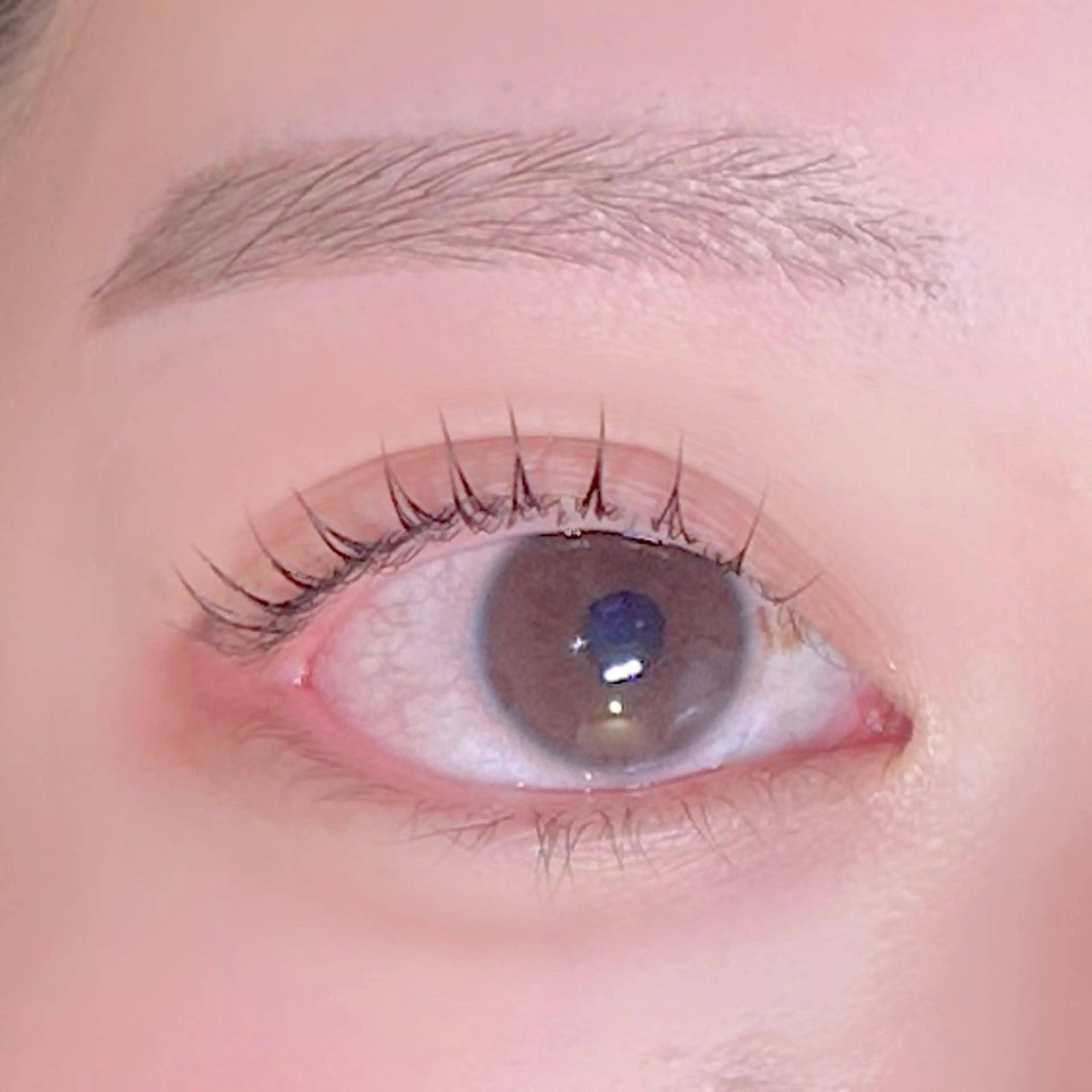 マツエク・マツパ マツパ ガレリアKH店 足立のマツエク・マツパデザイン