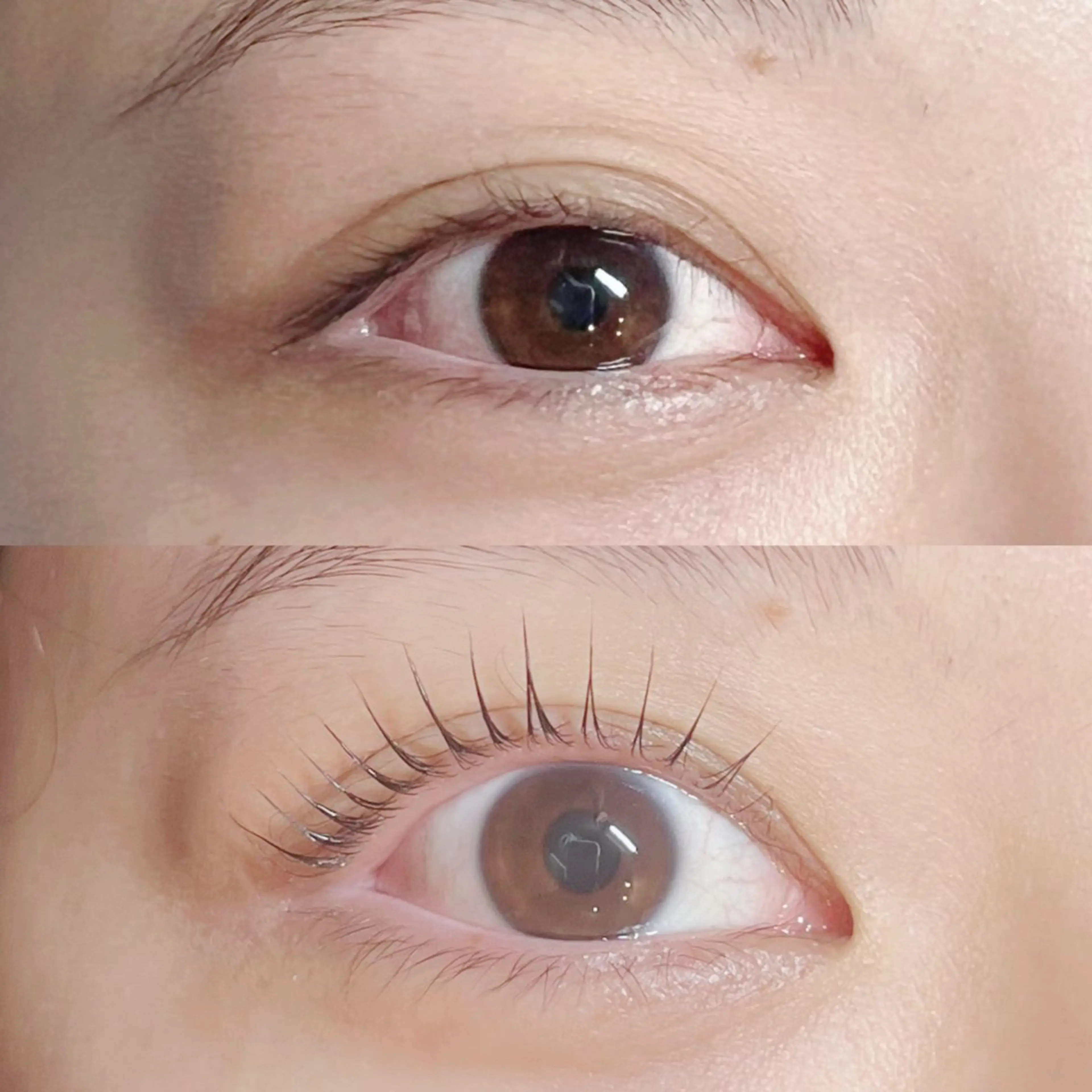 マツエク・マツパ パリジェンヌラッシュリフト CREA 今野 ⟡.·のマツエク・マツパデザイン