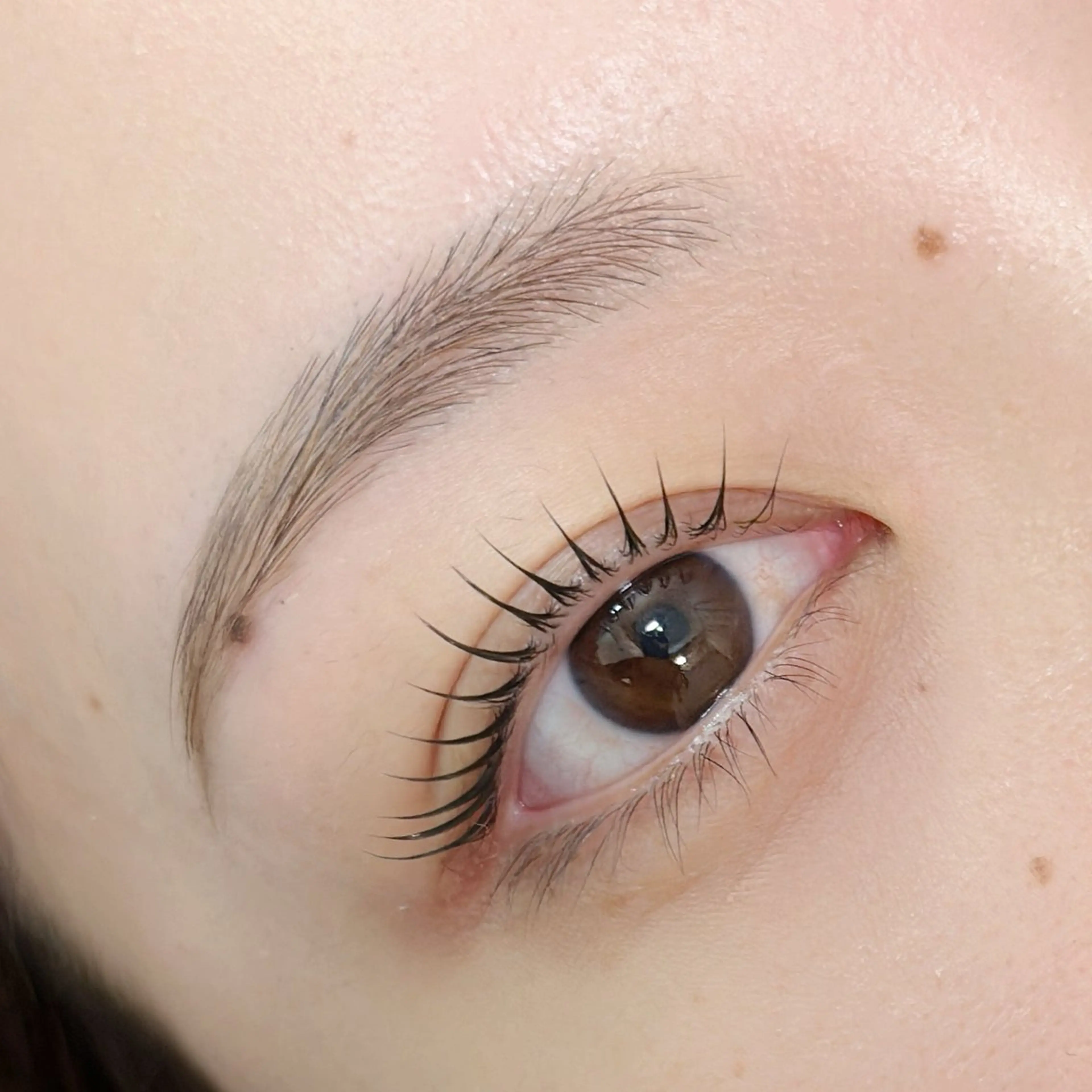 🌸【学生様限定】U24女性【撮影モデル】アイブロウwax 補足説明必ずご確認下さいの写真