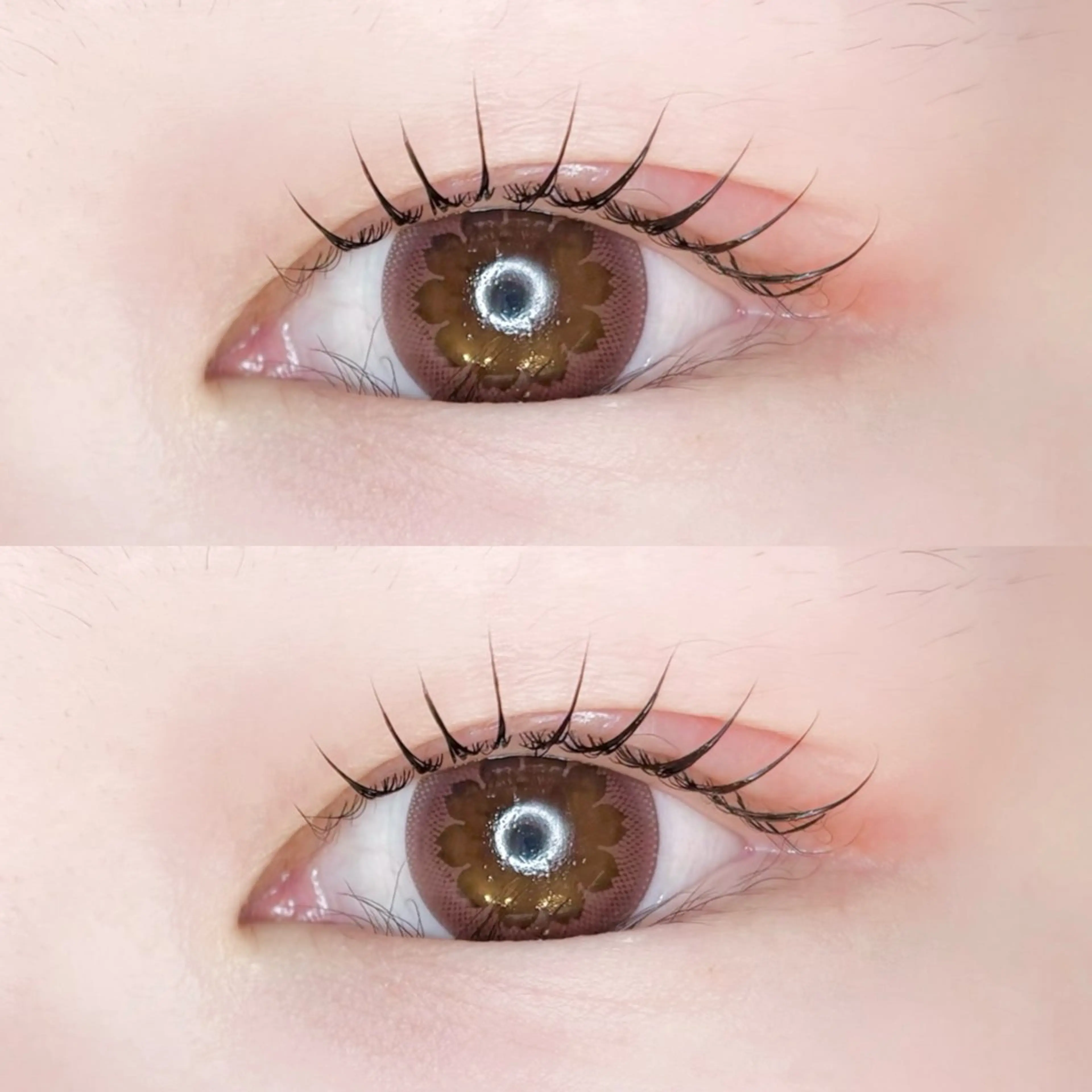 【人気No1🤍】パリジェンヌラッシュリフト/似合わせまつげパーマ🪑➕トリートメント束感仕上げの写真