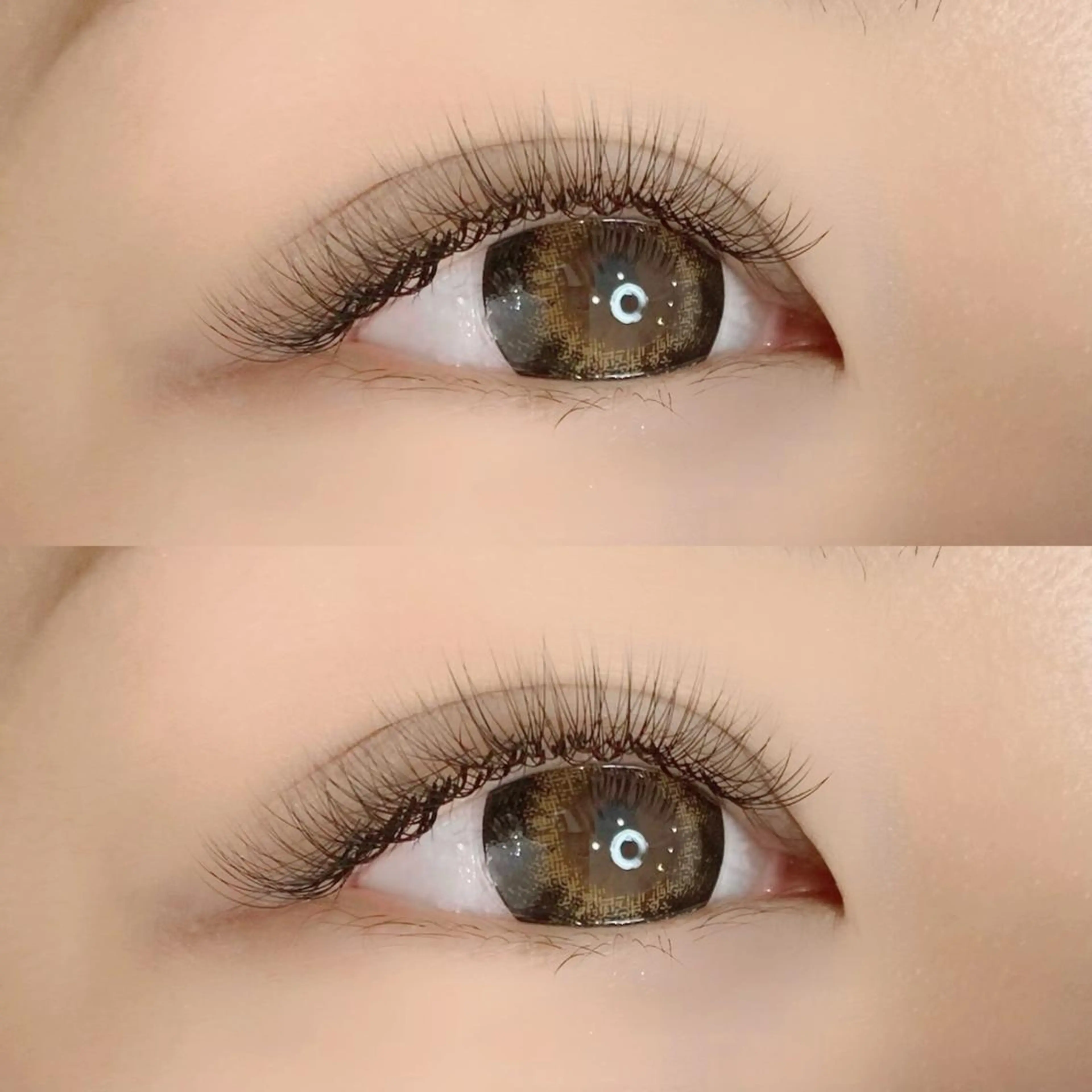 1日2名様限定✨オフなしボリュームラッシュ3D or 5D 120束の写真