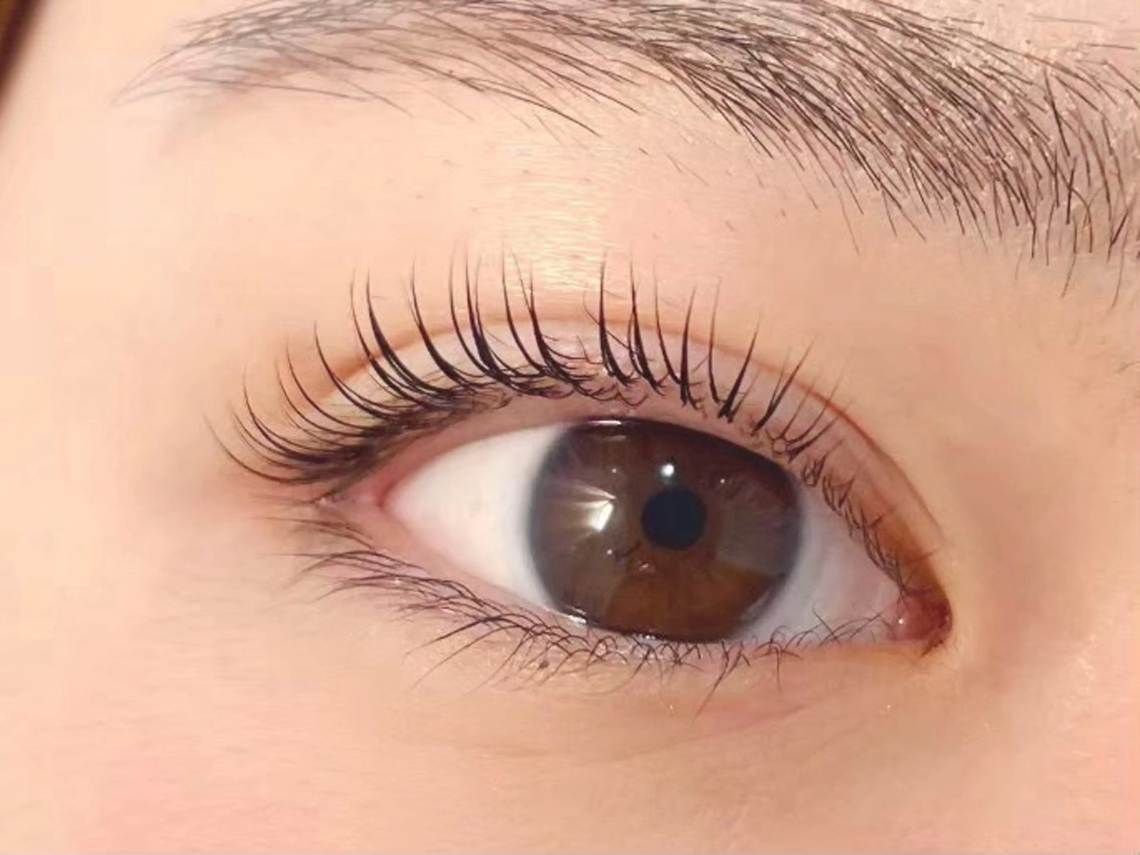 ♥【プレミアム】潤いまつ毛パーマ →3160【直前割】2660の写真