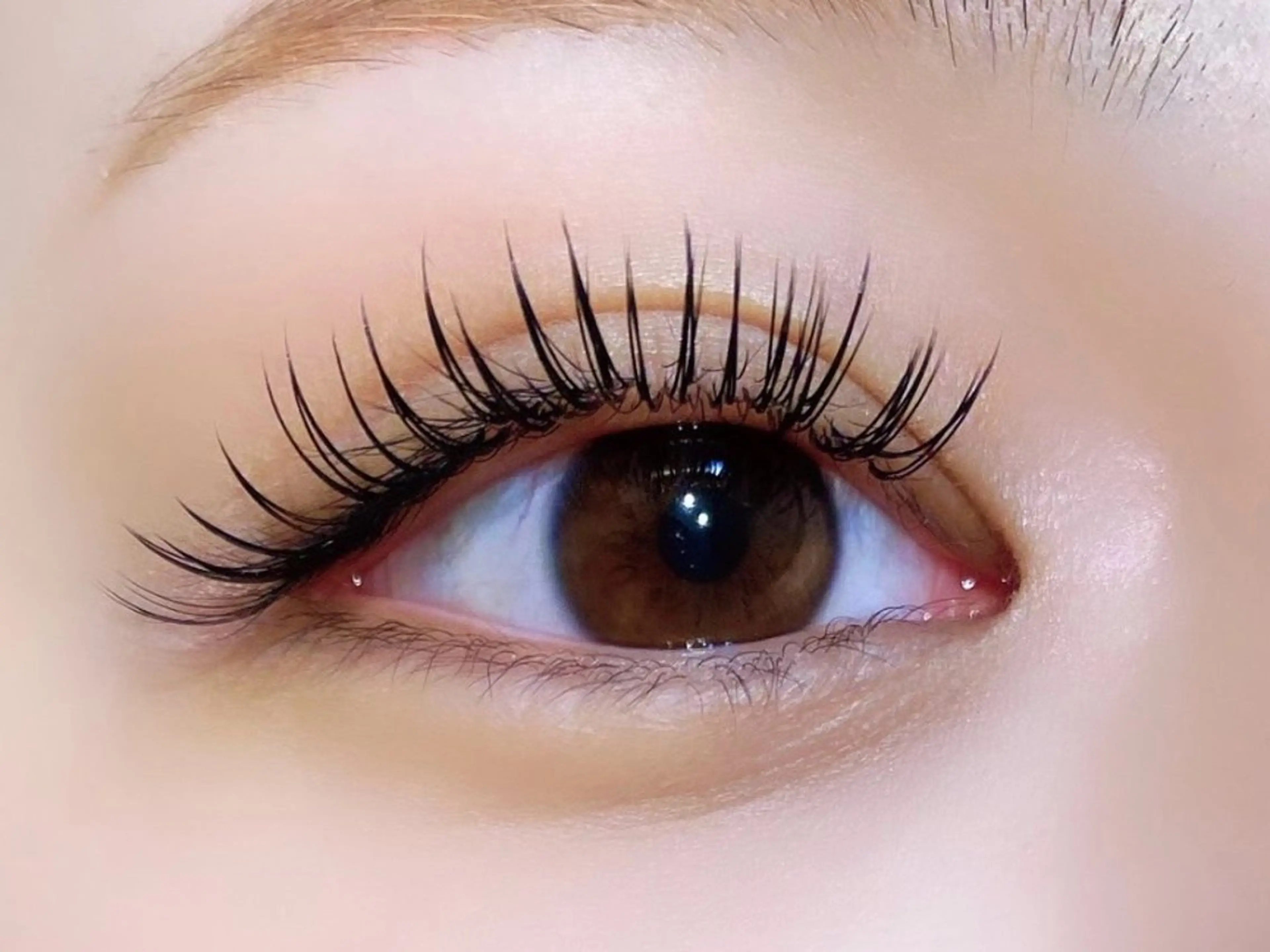 バインドロック100束🍒オフ＋550円✨(美容コーティング仕上げ🪄◝✩)の写真