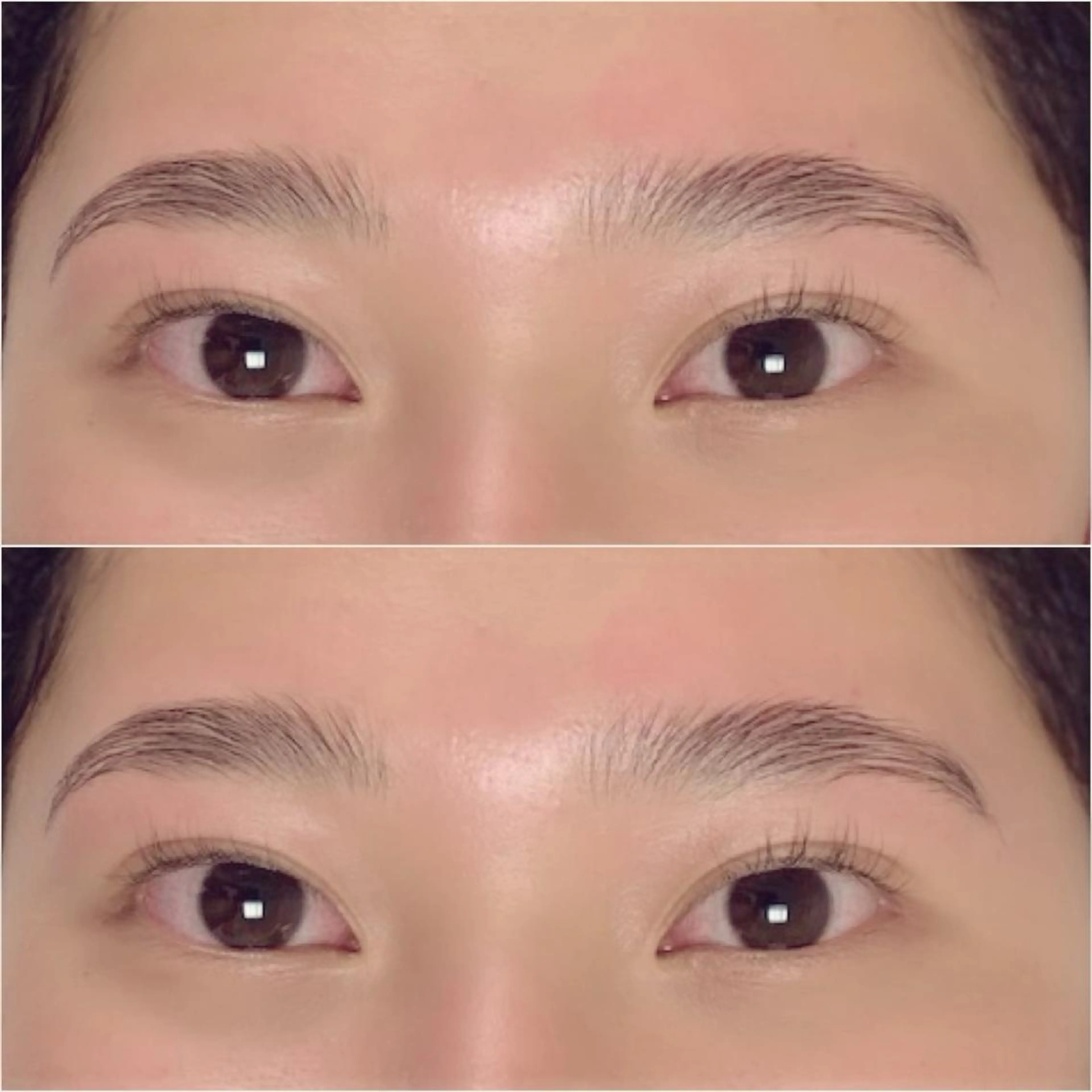 アイブロウ ハリウッドブロウリフト HBL/眉毛専門 salonのマツエク・マツパデザイン