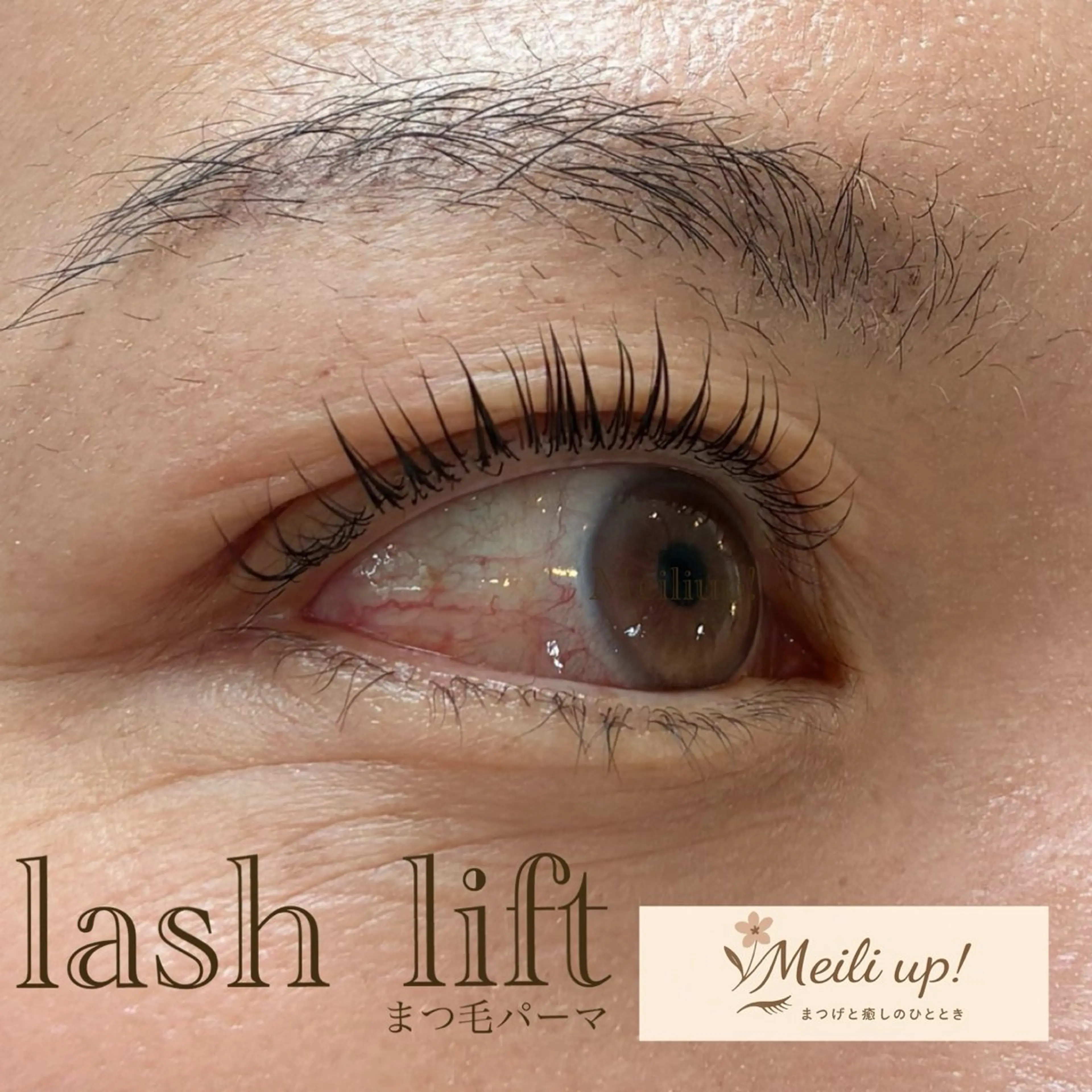 マツエク・マツパ まつげパーマ マツパ 沖縄市 Meili up !のマツエク・マツパデザイン