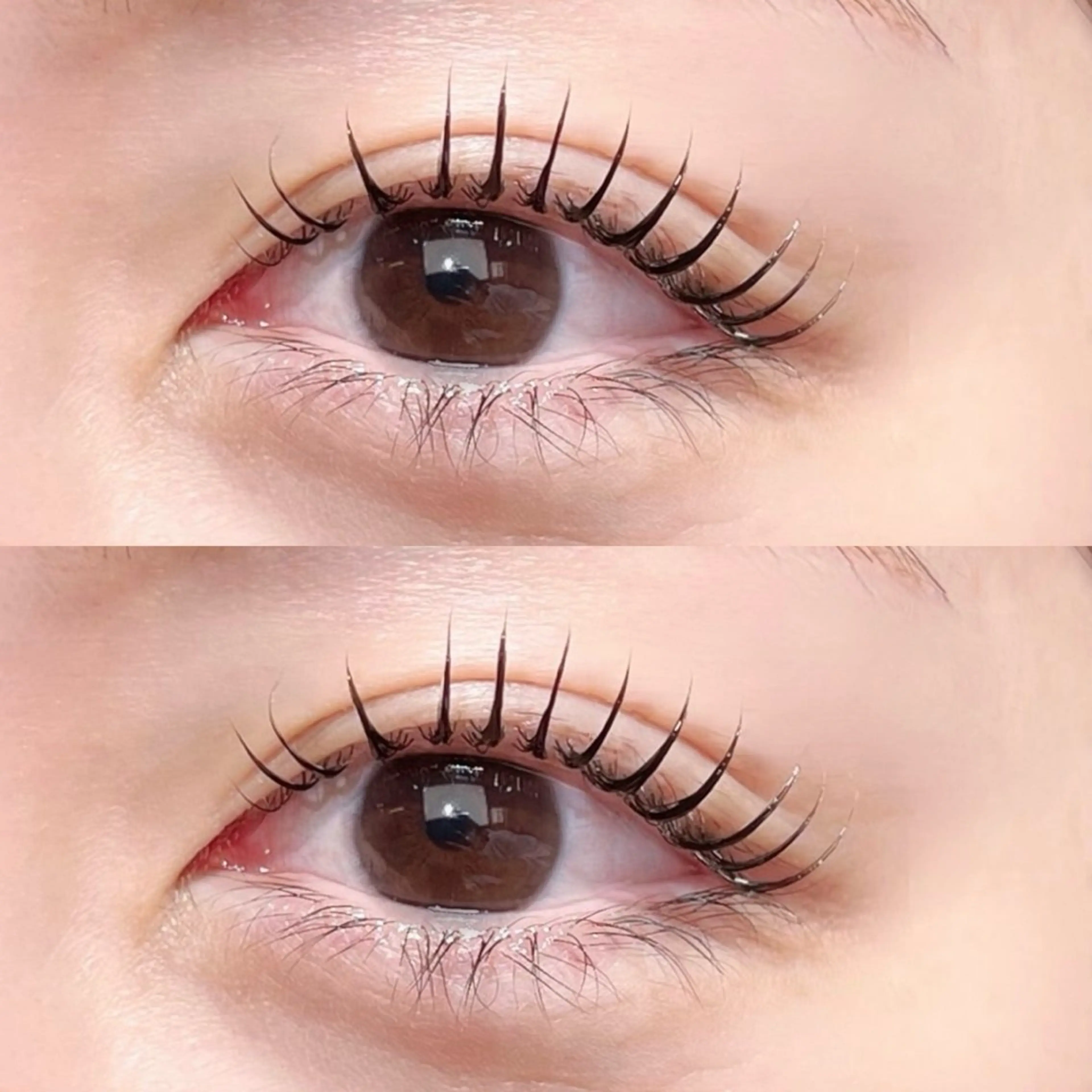 マツエク・マツパ Cカール 一重×まつ毛パーマ Lash A 🕊️のマツエク・マツパデザイン