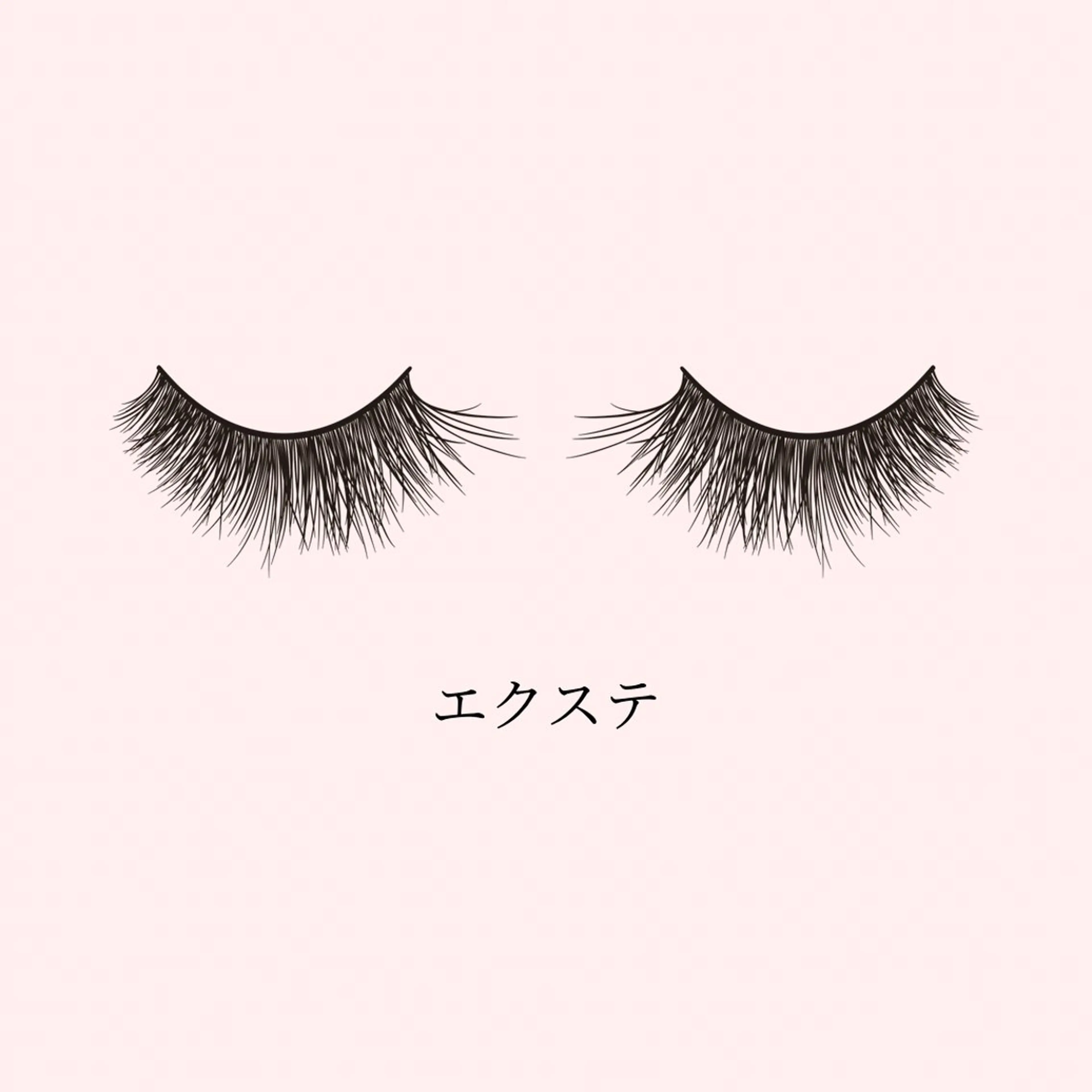 フラットラッシュ10本の写真