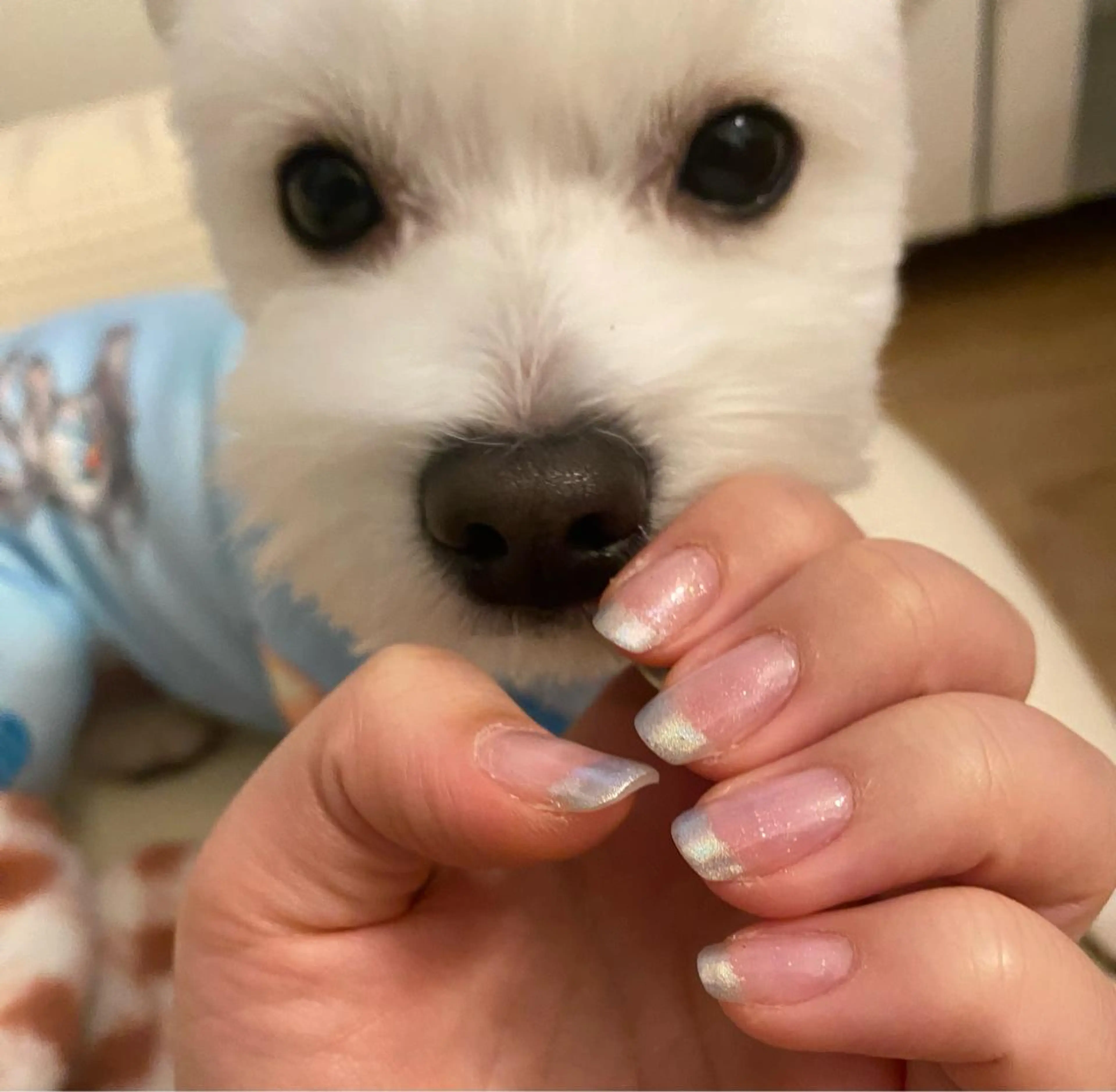 ネイル ハンドネイル Chandra nail&tarotのネイルデザイン