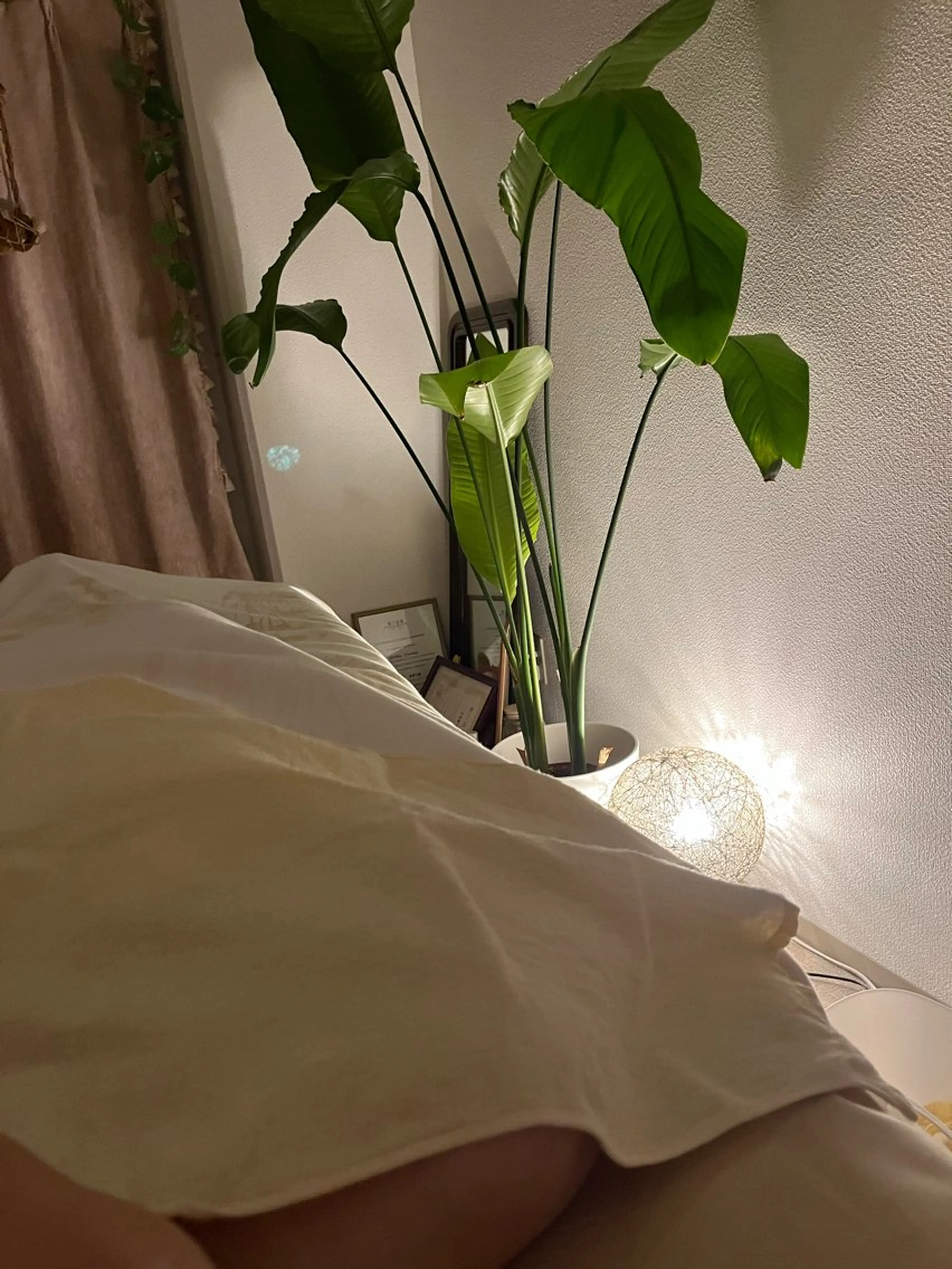 隠れ家エステ chapoのエステ・リラクイメージ