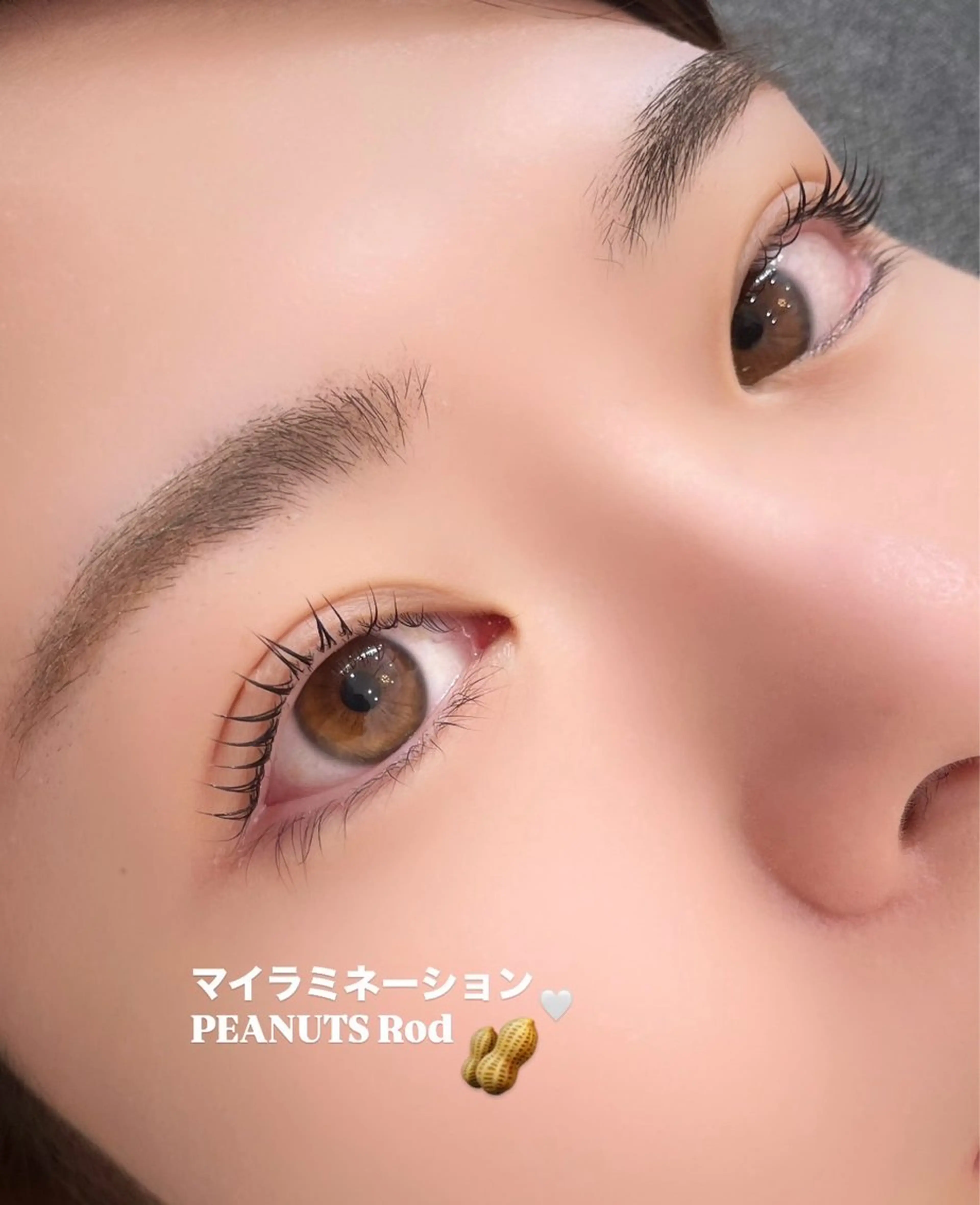 次世代束感☆まつ毛パーマ ラッシュリフト¥7700→¥4500の写真