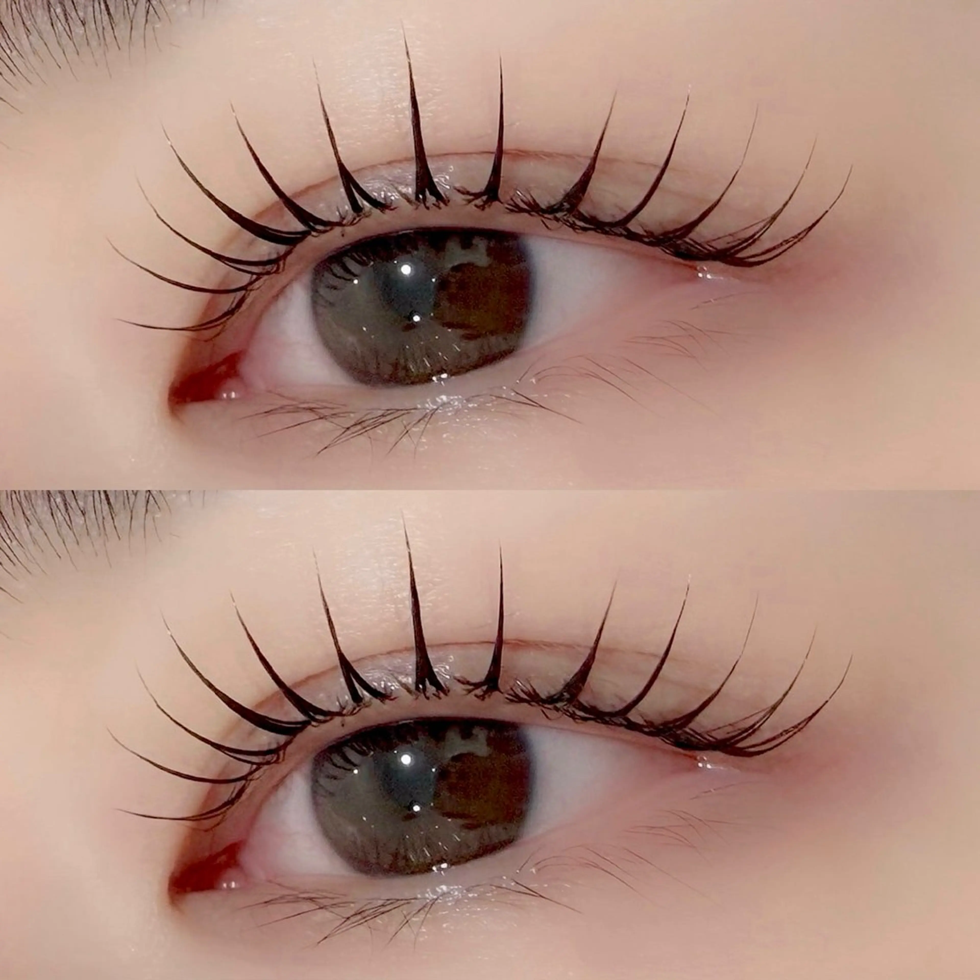 マツエク・マツパ マツパ 京橋🦋LEDマツエ ク&まつ毛パーマのマツエク・マツパデザイン