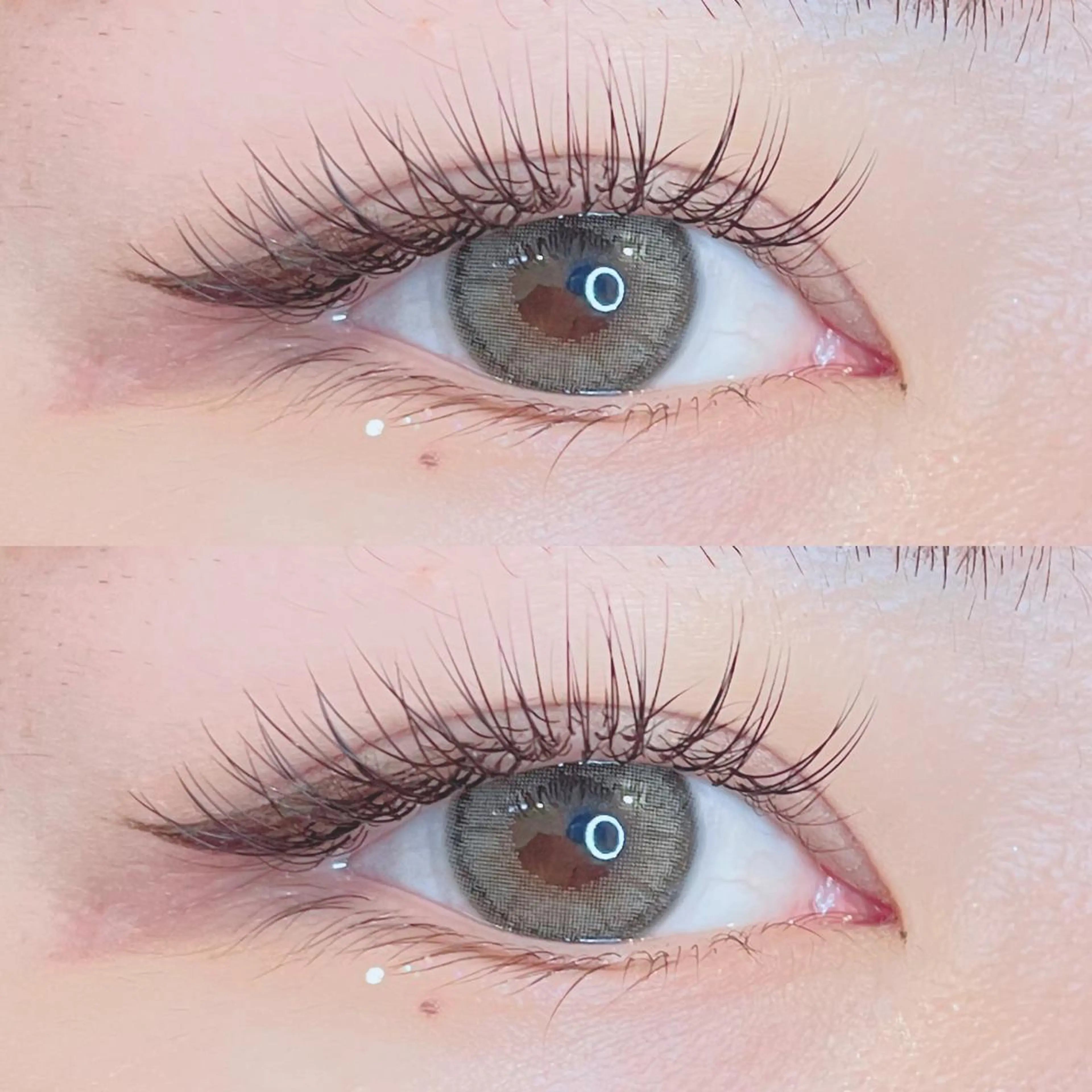 【ミニモ限定価格】🥀セーブル100本🥀の写真