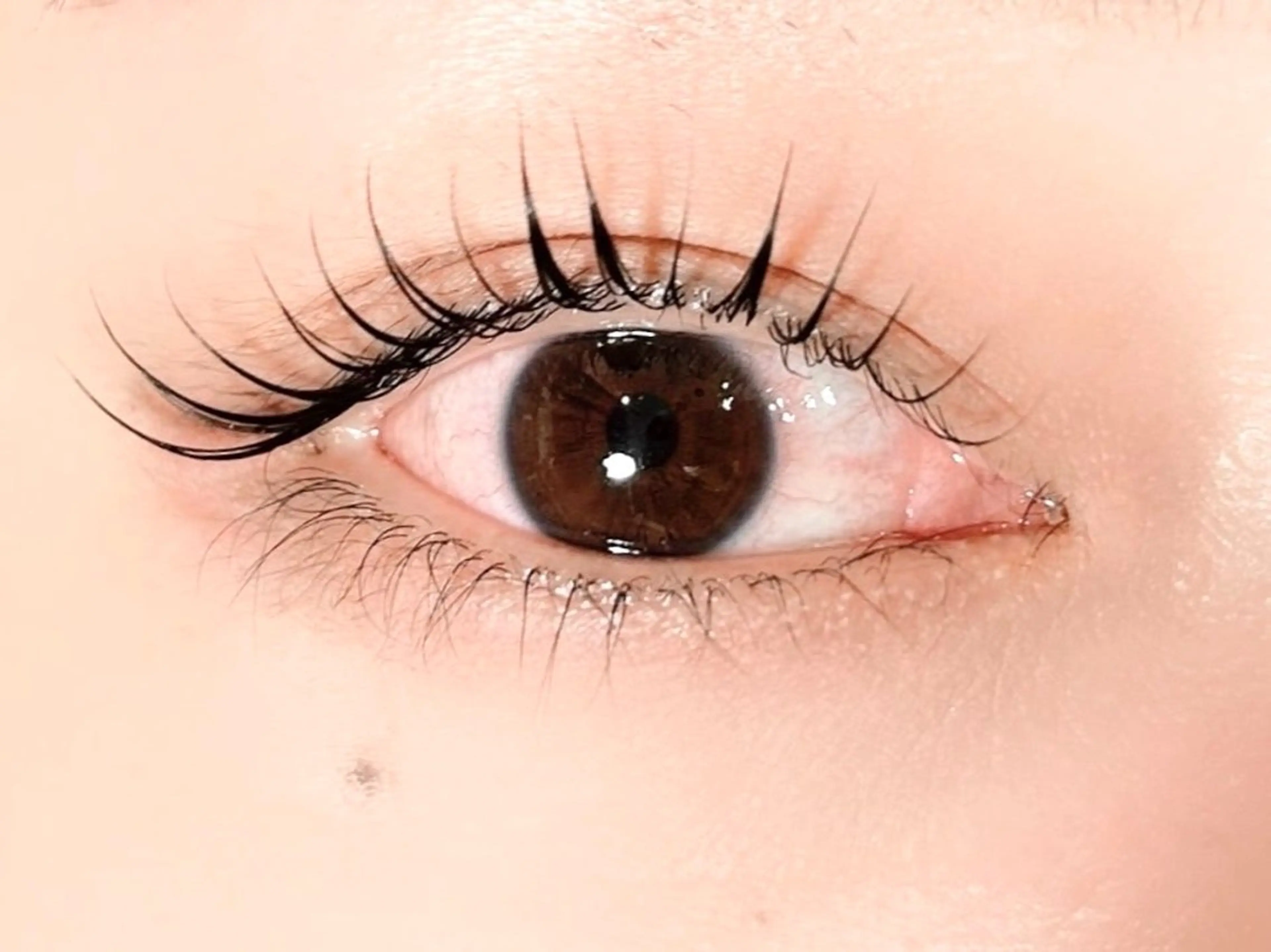 マツエク・マツパ 似合わせまつ毛&眉毛 🌷💗🎀 柏村のマツエク・マツパデザイン