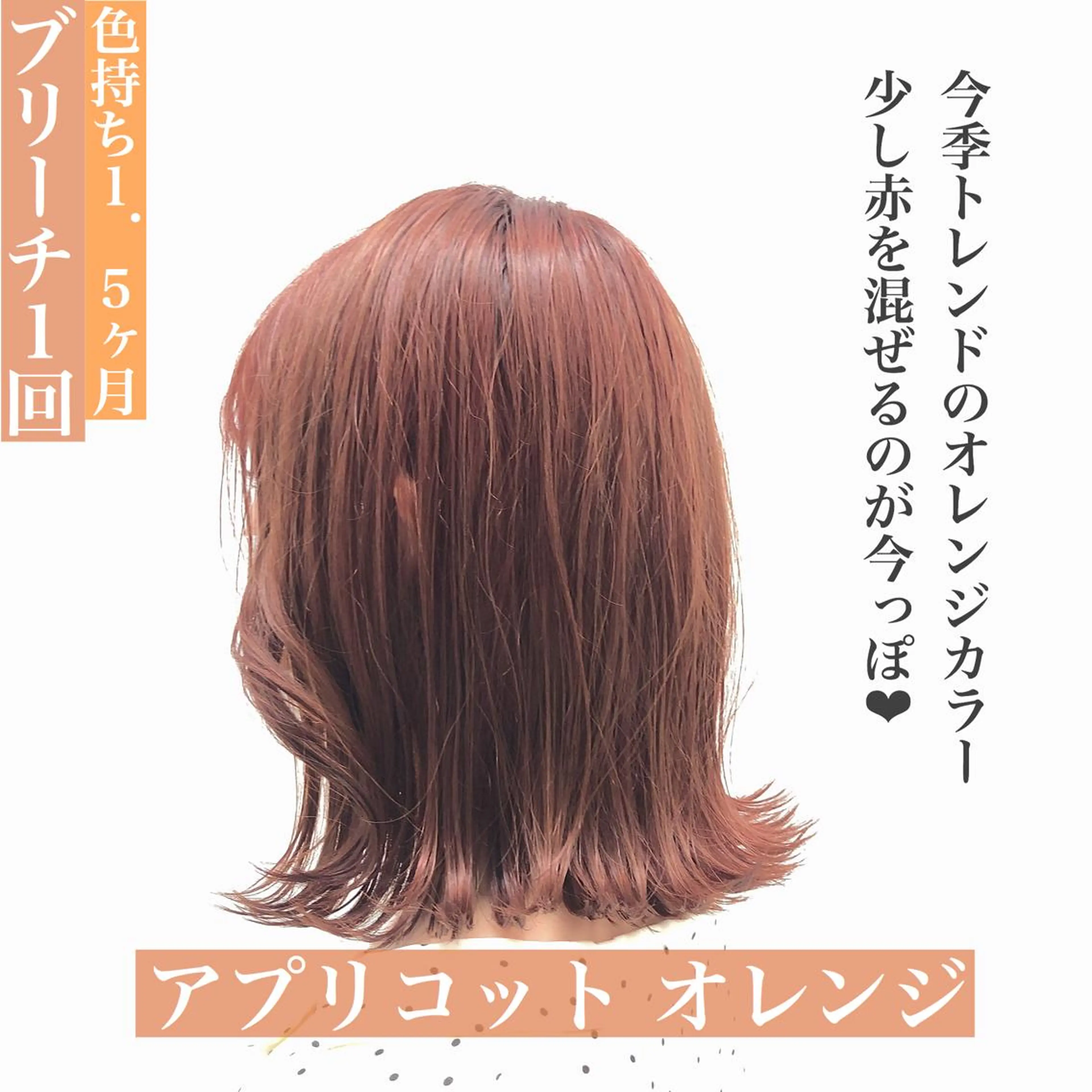 セミロング カラー ヘアアレンジ 韓国艶カラー🇰🇷 DISCO💙のヘアスタイル