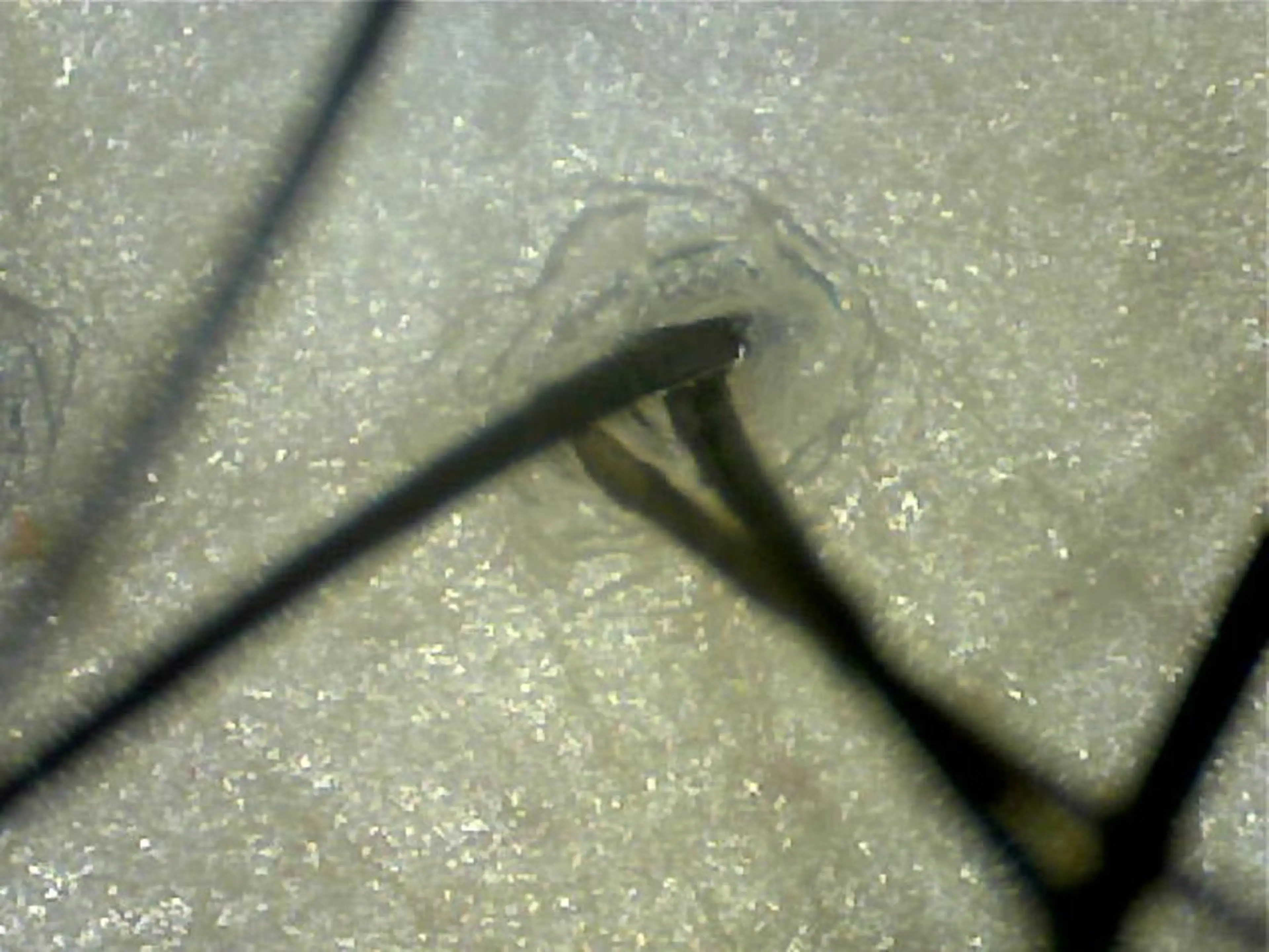 トリートメント ヘッドスパ cfr professional artist salon所属・佐野 智史のヘアスタイル