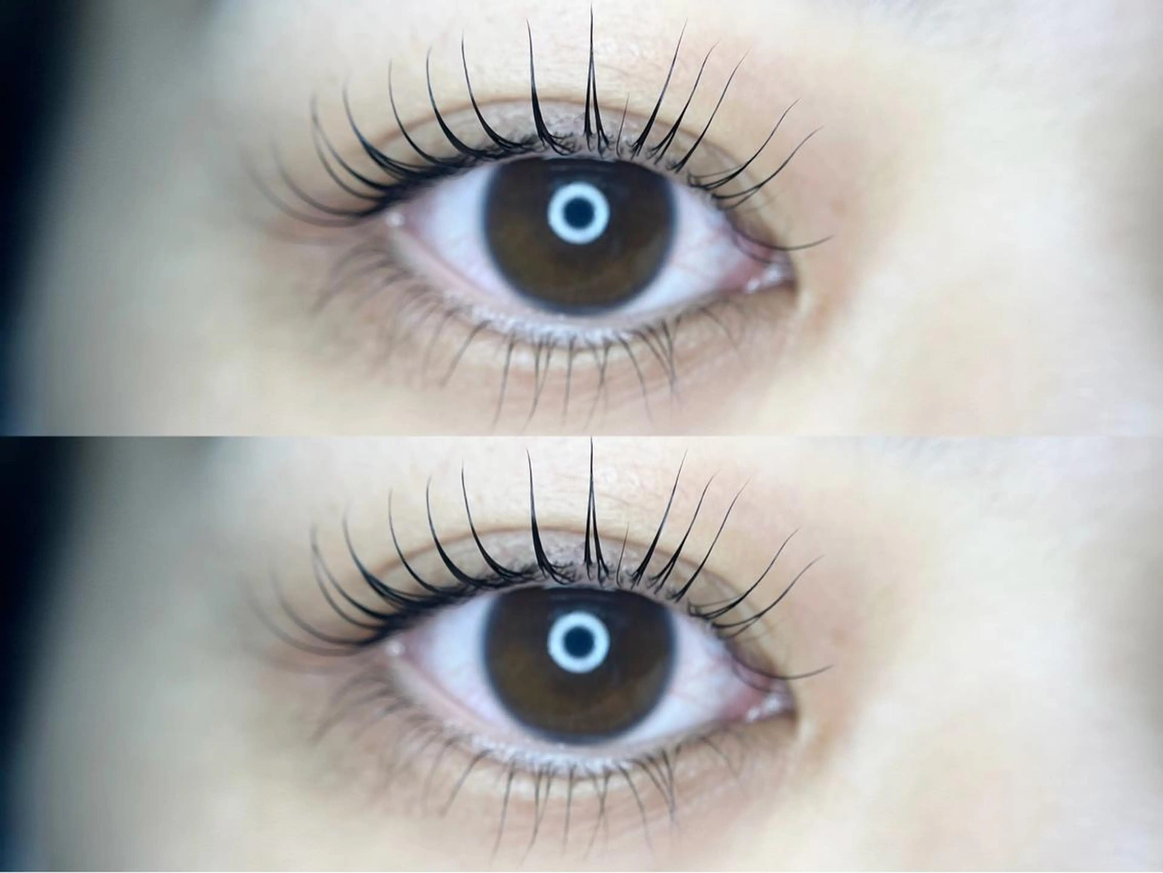 マツエク・マツパ 下まつげエクステ 一重×まつ毛パーマ Sakamoto Miaの眉毛・アイブロウイメージ