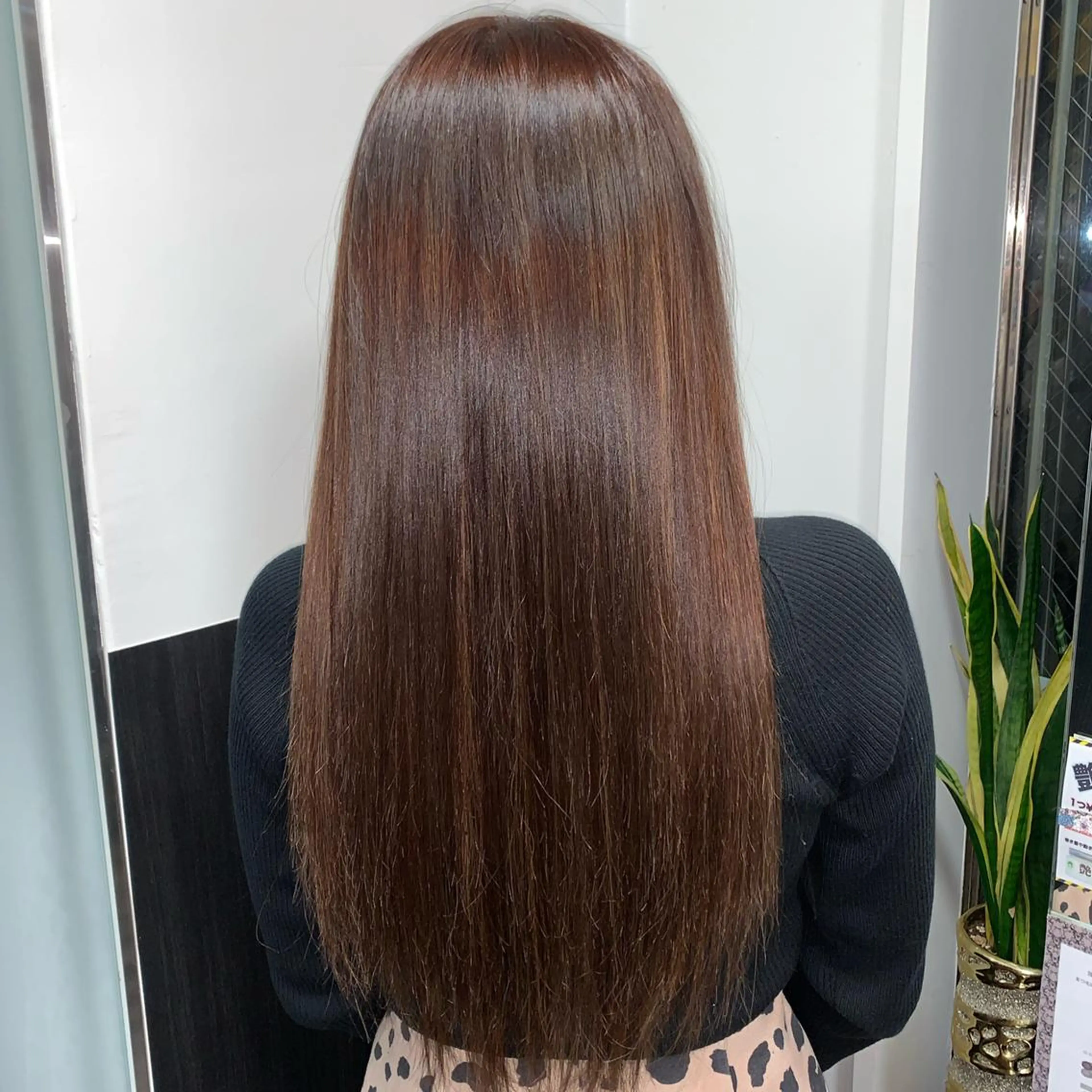 ロング カラー シールエクステ ブラウンカラー エクステ 韓国カラー/エクステ carryのヘアスタイル