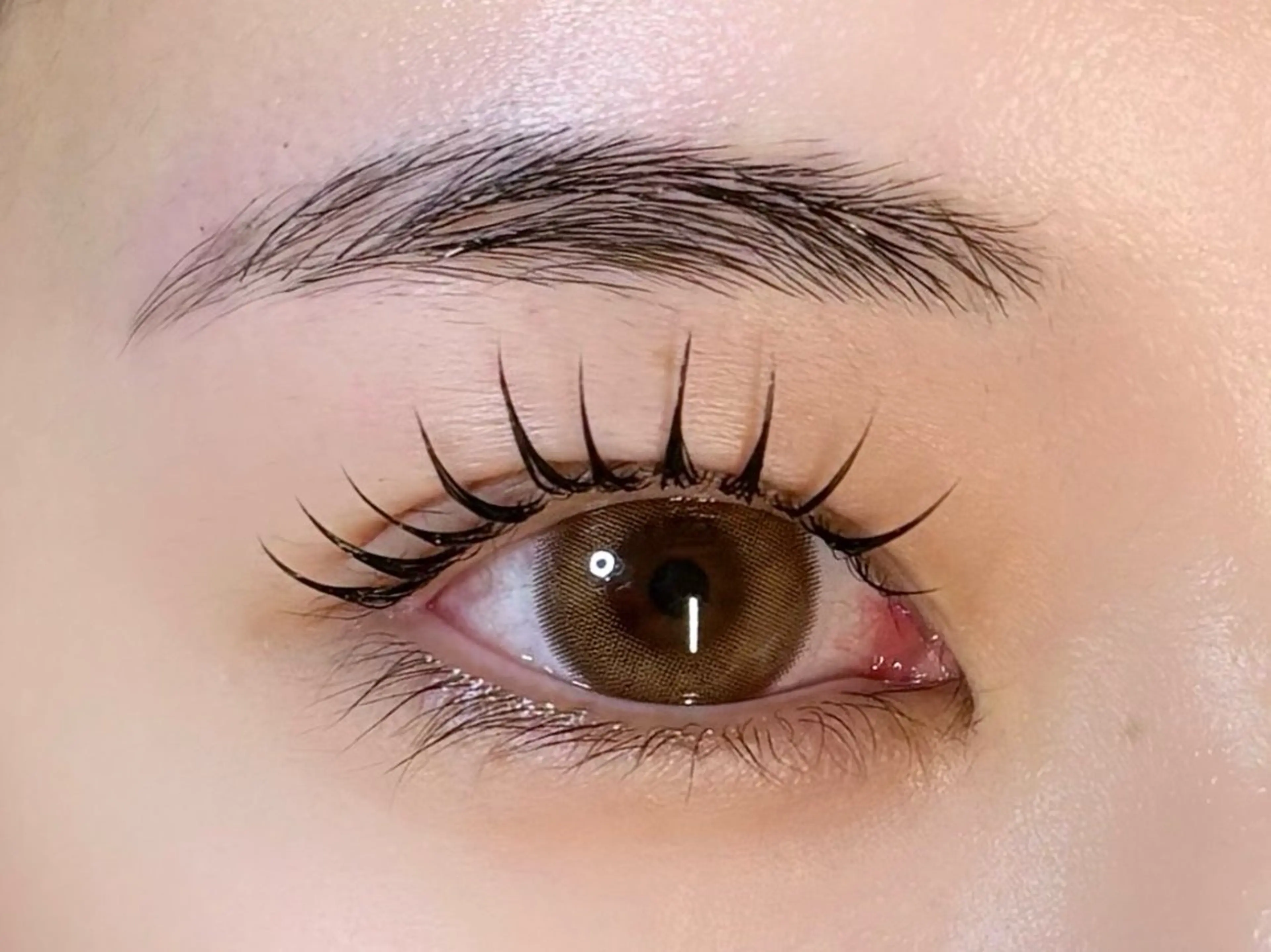 🤍ラッシュリフト（まつげパーマ）orパリジェンヌ🤍¥2500の写真