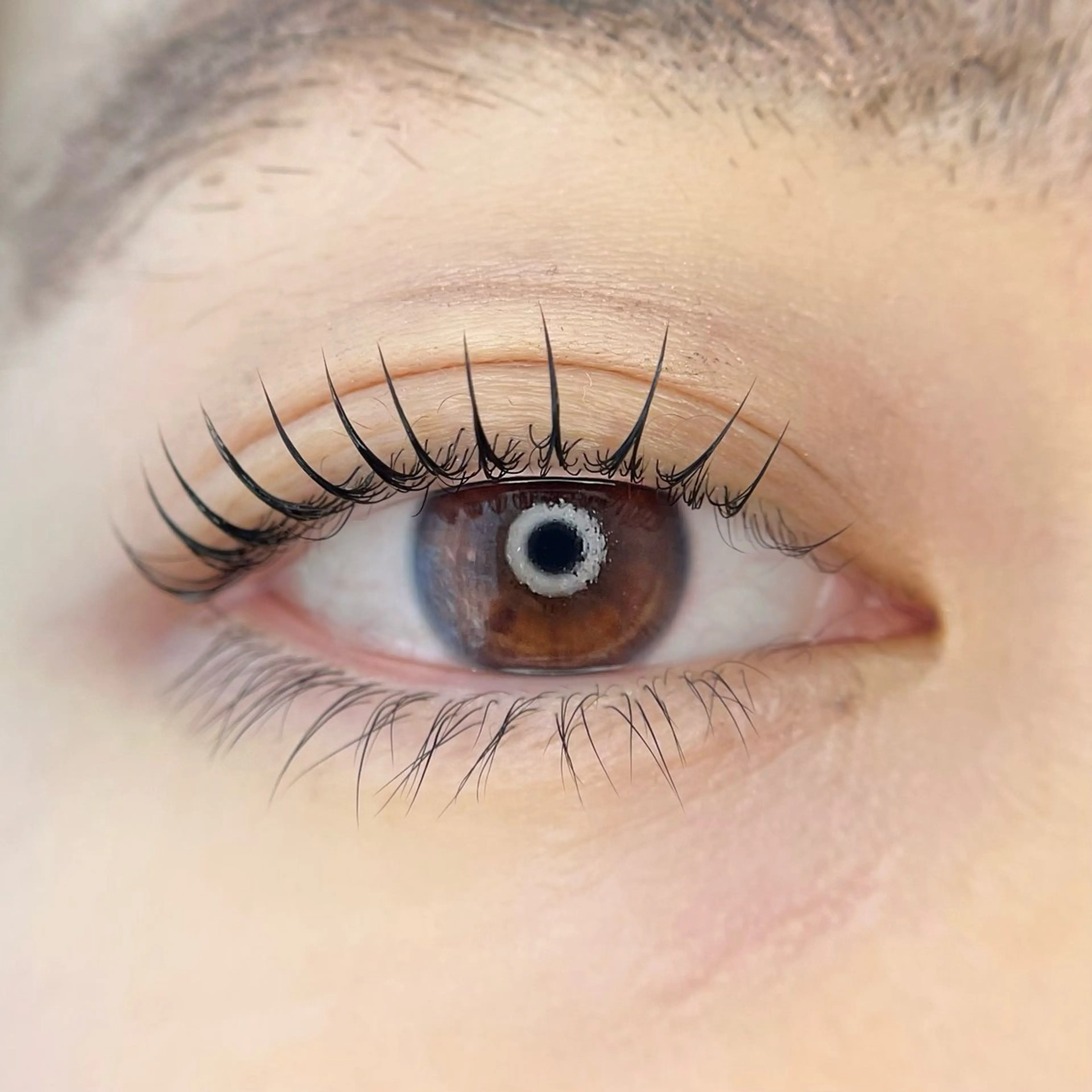 マツエク・マツパ 眉毛/まつ毛/代官山 アイサロン🌻NAEのマツエク・マツパデザイン