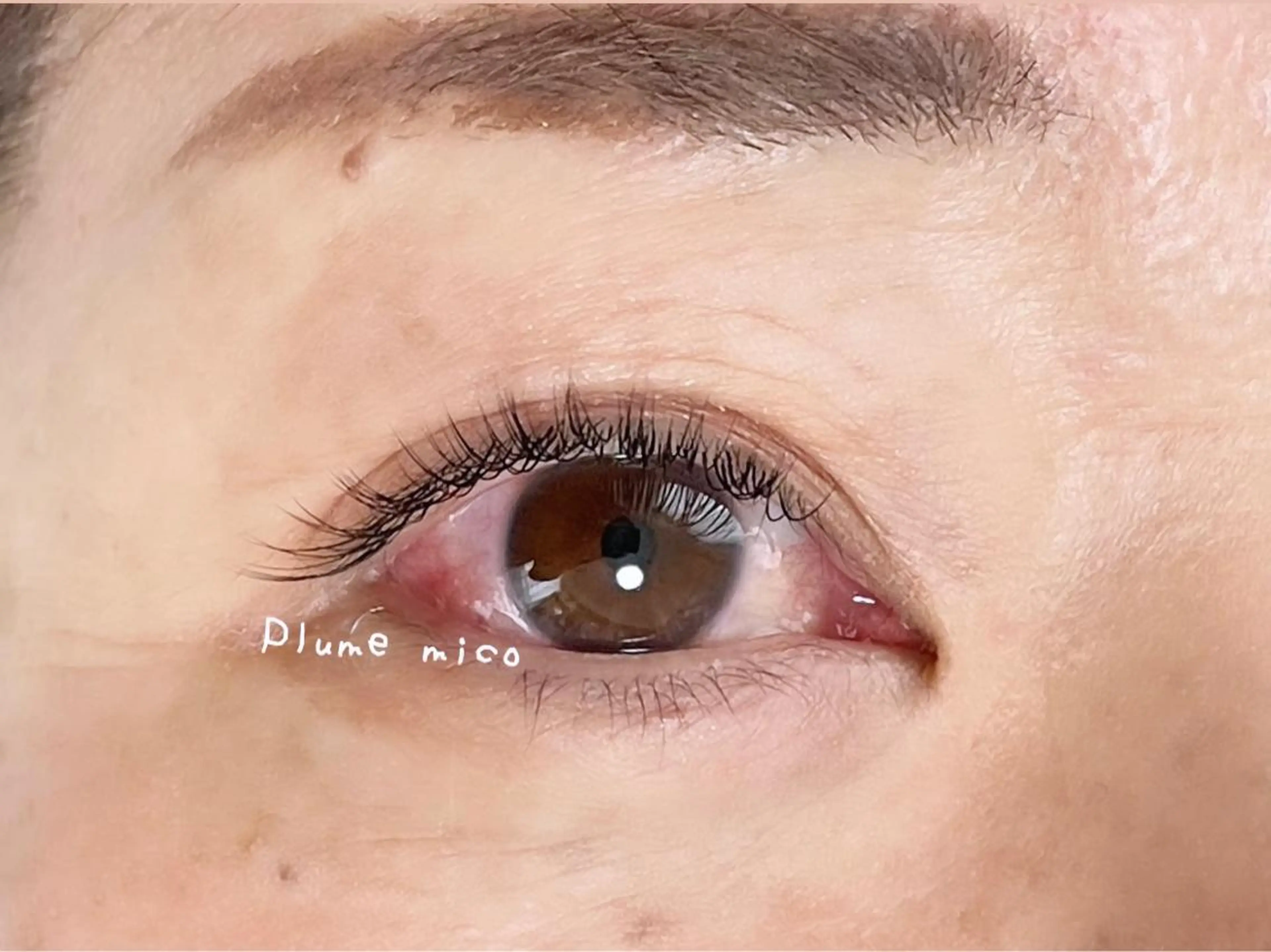 マツエク・マツパ マツエク Plume micoのマツエク・マツパデザイン