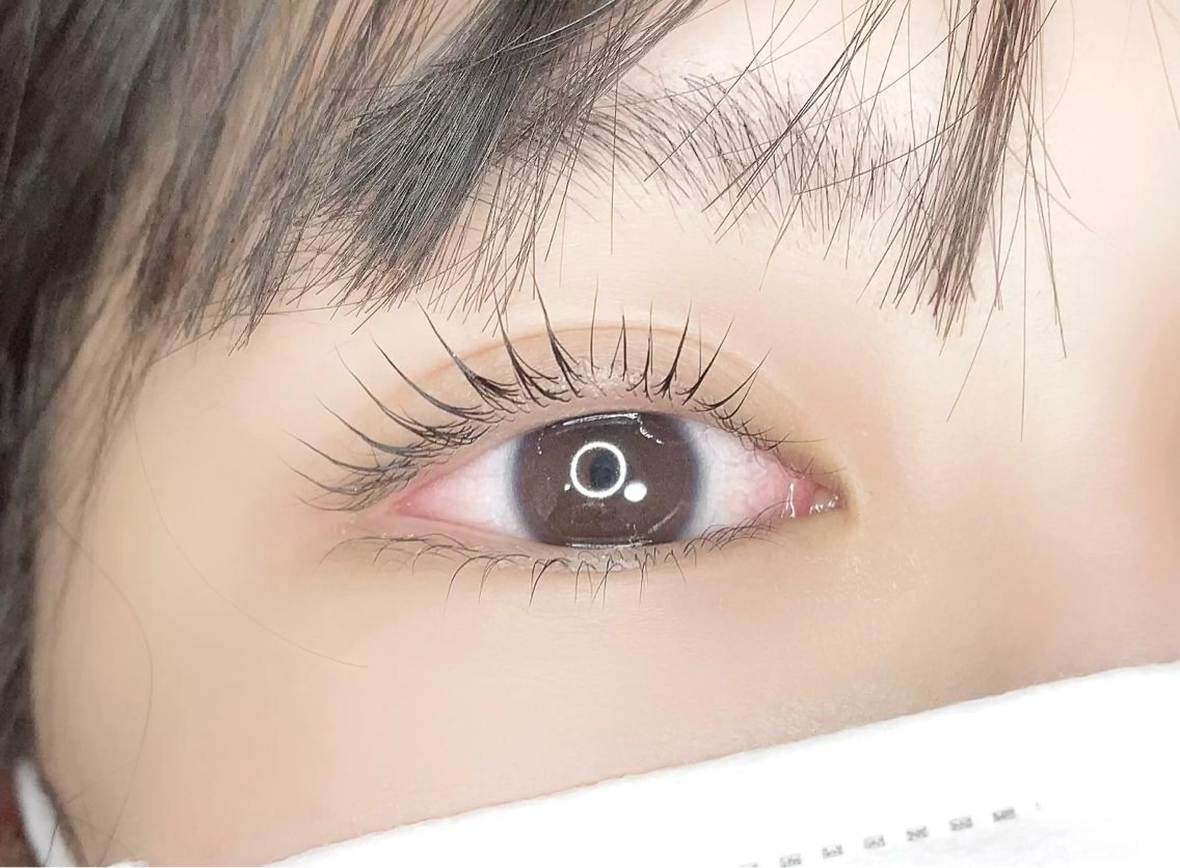 マツエク・マツパ eyelash "Koa"🕊🤎のマツエク・マツパデザイン