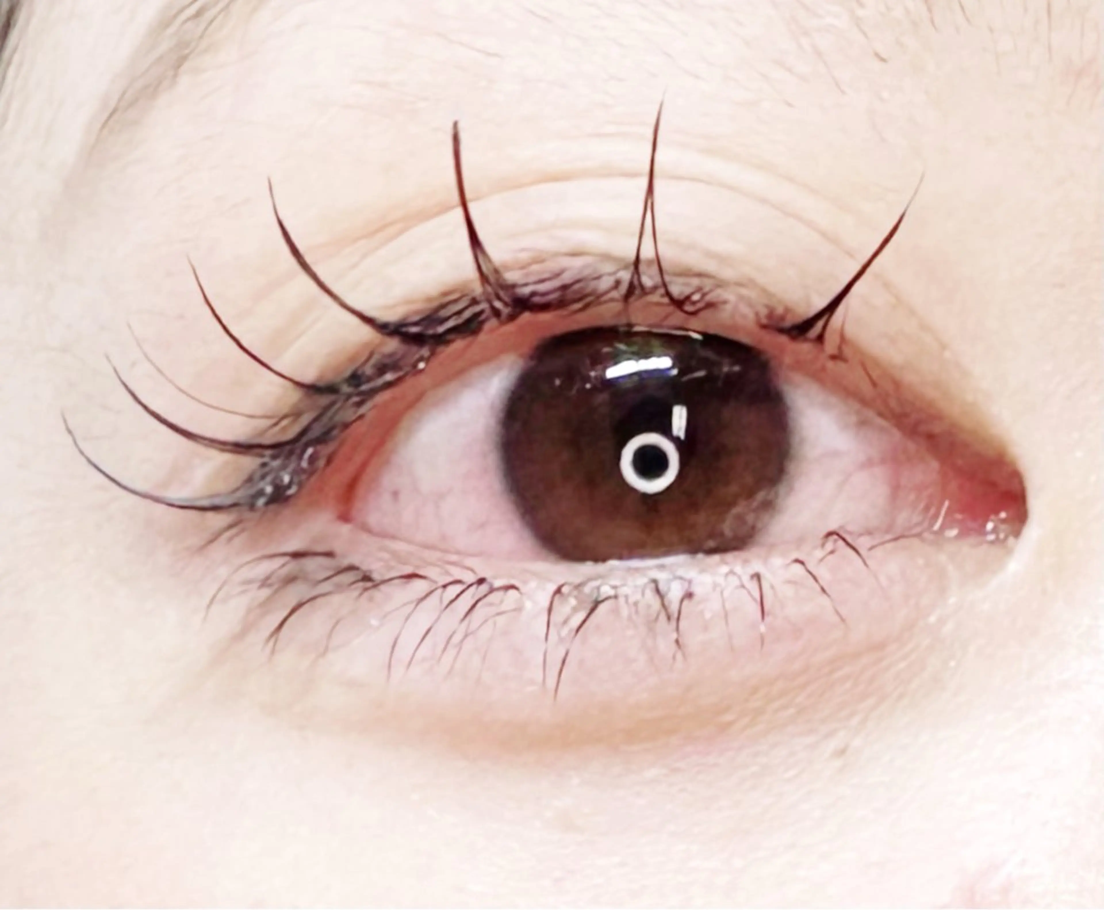 マツエク・マツパ 下まつげエクステ マツエク lepo 川越 arisaのマツエク・マツパデザイン