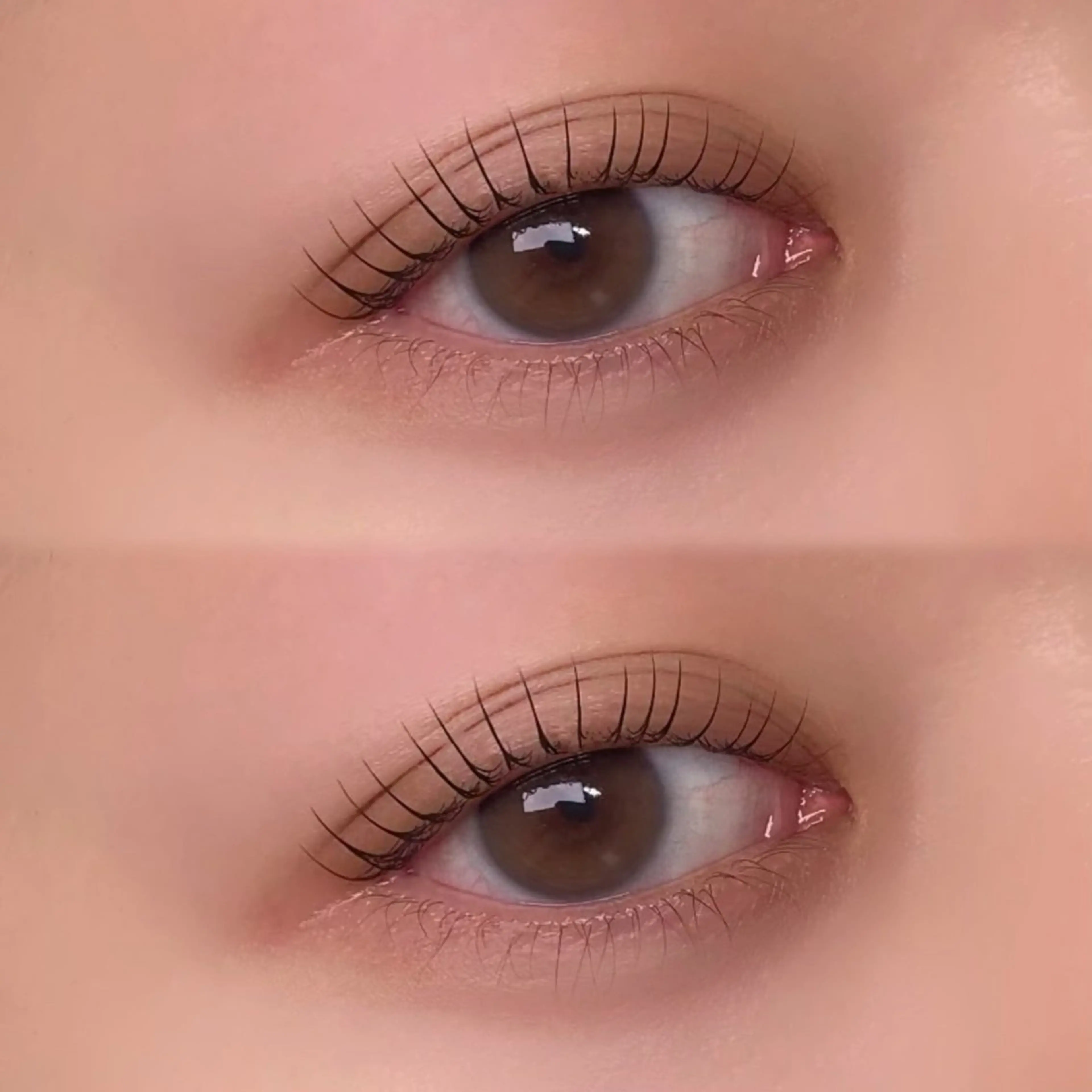 マツエク・マツパ meiro🎀 nanohaの眉毛・アイブロウイメージ