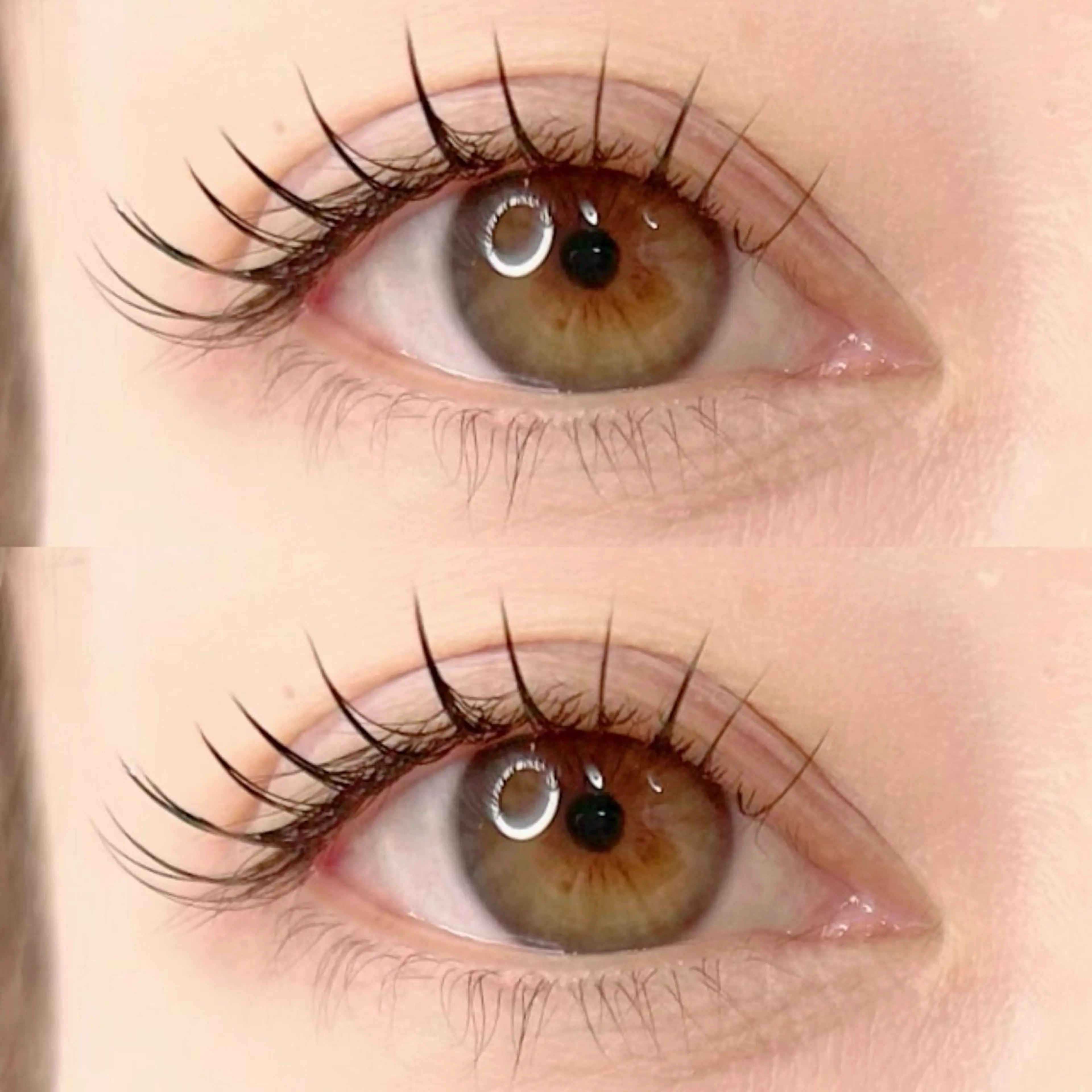 🤍minimo限定価格🤍LEDエクステ120本🪄　オフ込み ・ コーティング仕上げの写真