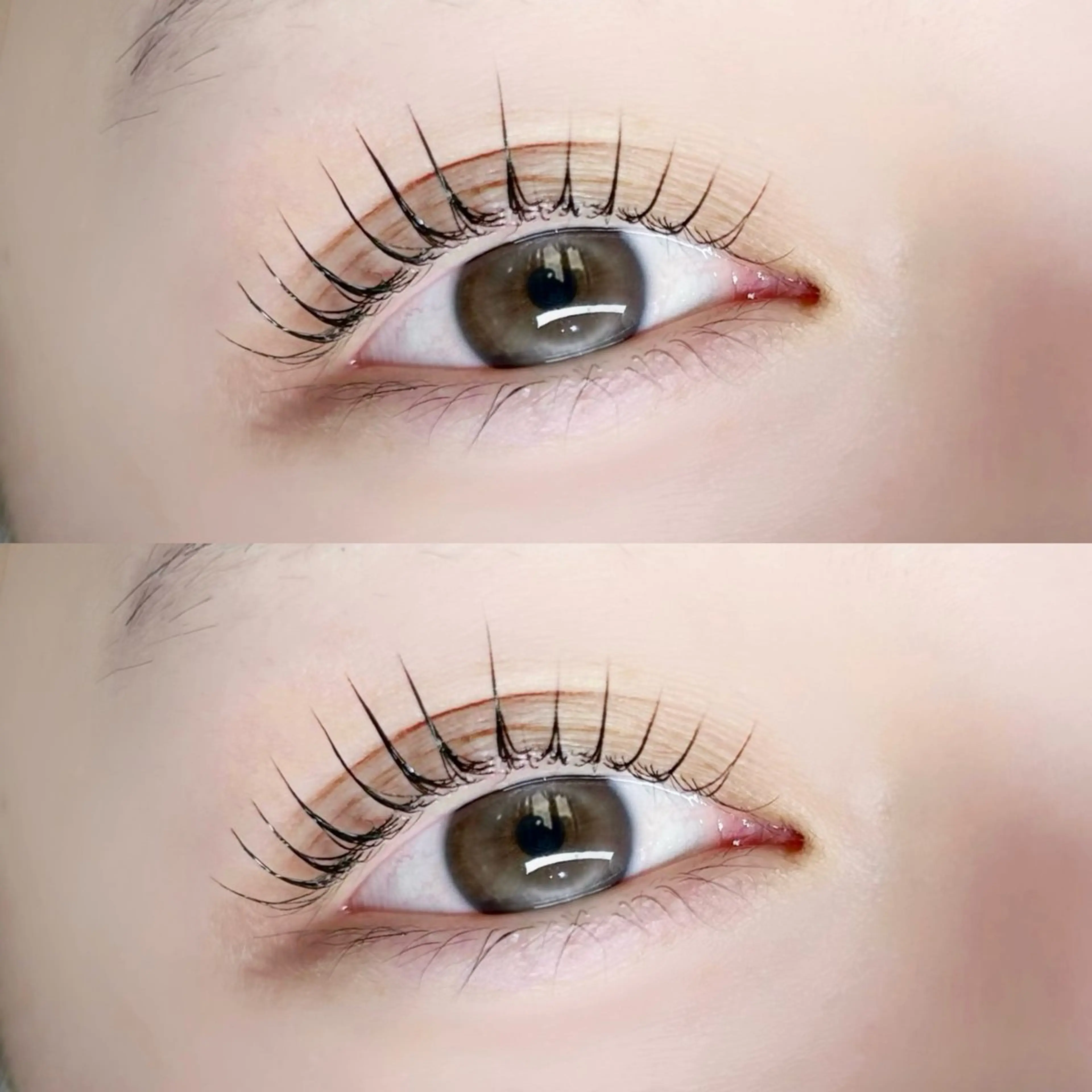 マツエク・マツパ パリジェンヌラッシュリフト EYELA熊本 rinoのマツエク・マツパデザイン