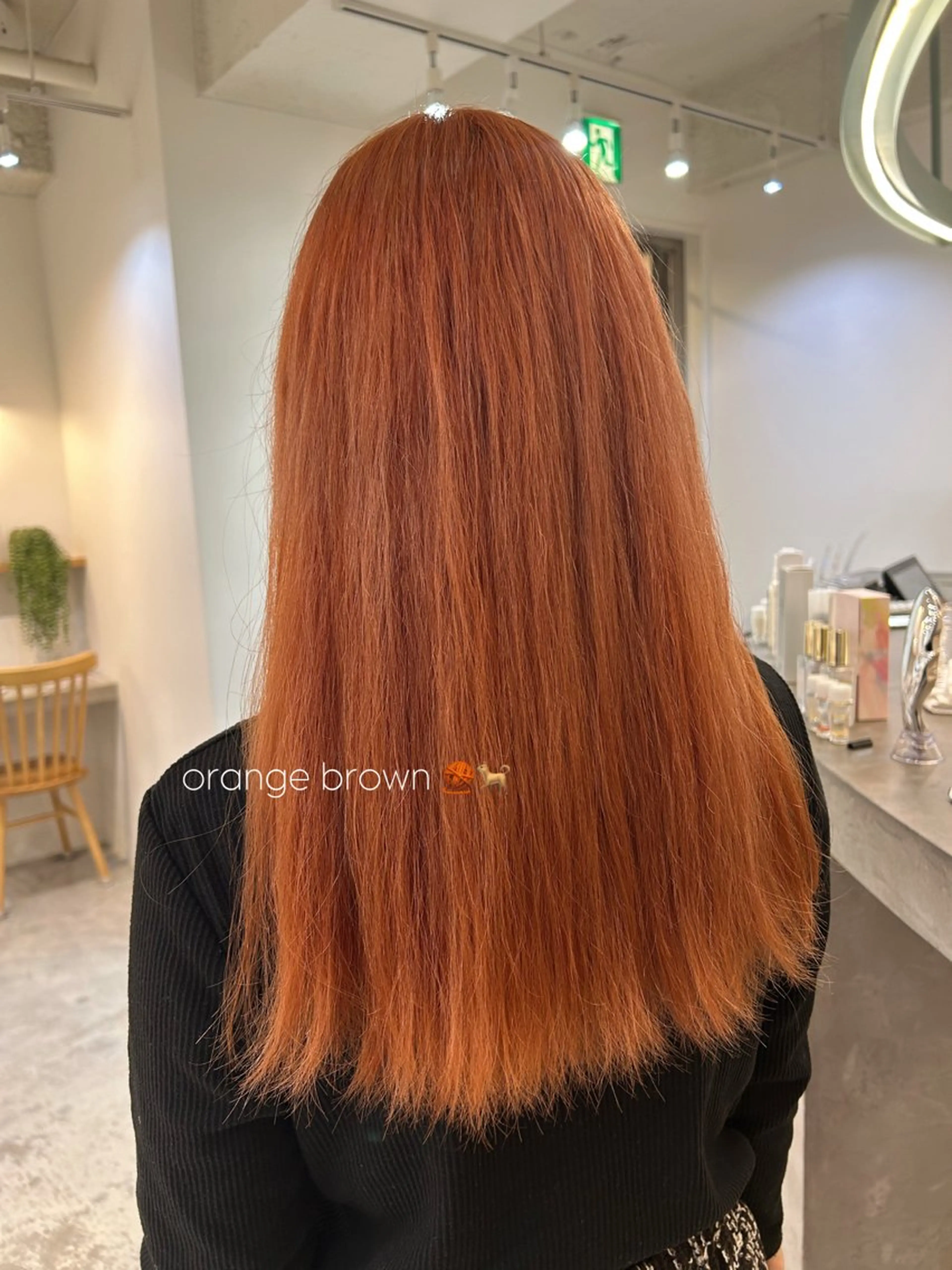 ロング カラー miyou /FILMS🐕🐾のヘアスタイル