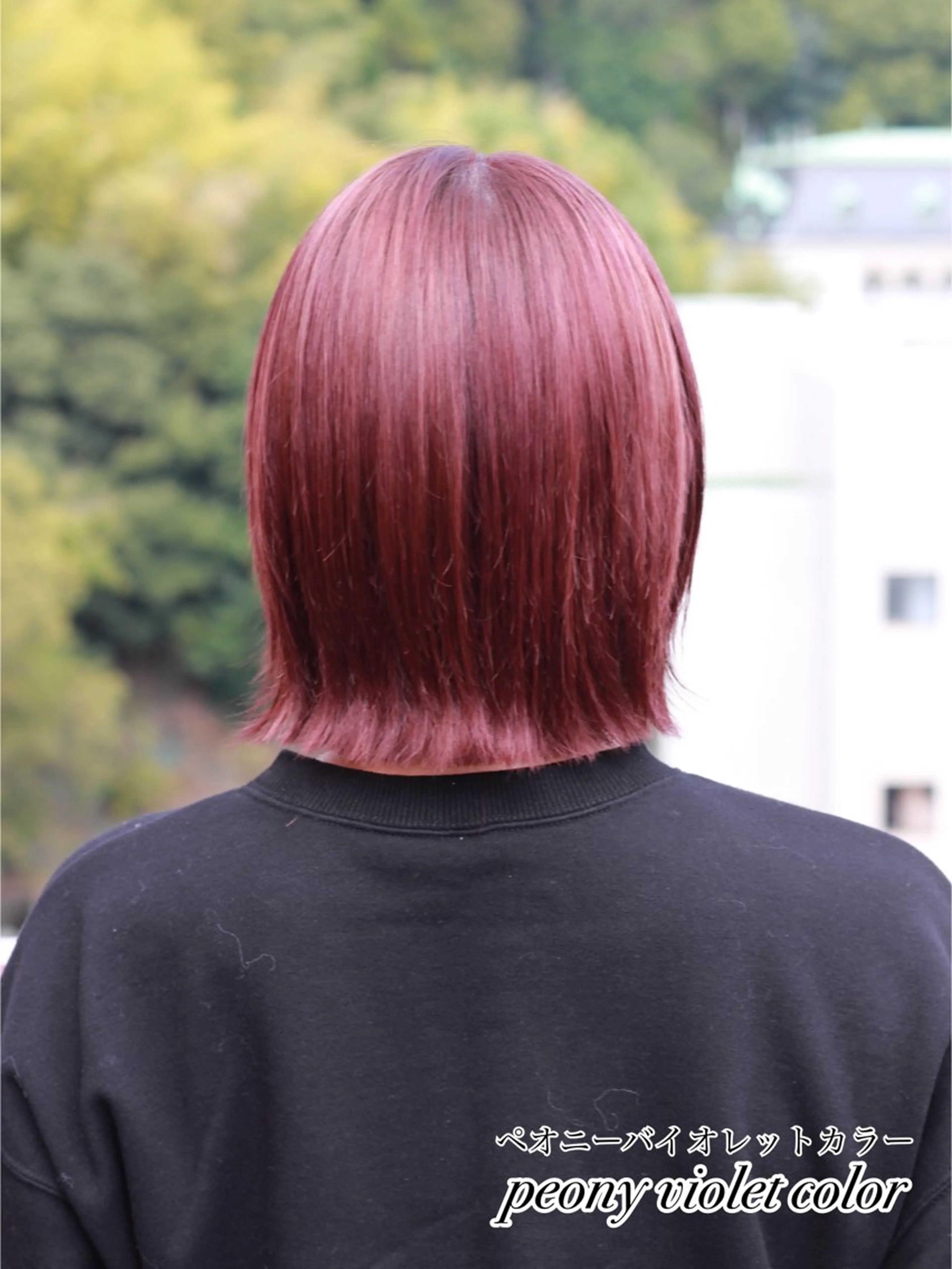 ショート カラー バイオレットカラー ヘアカラー Viage （ビアージュ）のヘアスタイル