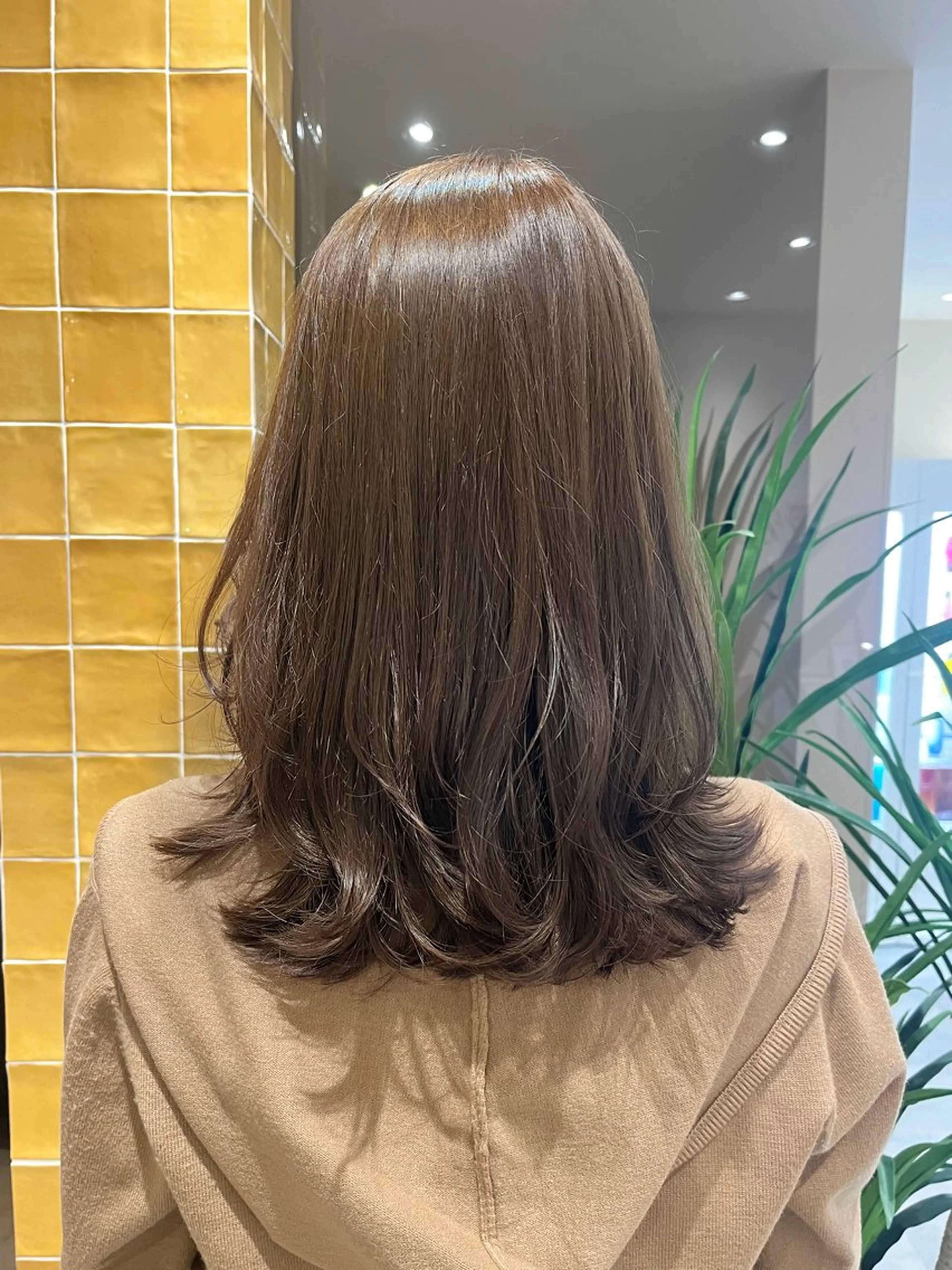 セミロング ヘアカラー トリートメント ﾚｲﾔｰ🩵透明感 ೀユイ🌙のヘアスタイル