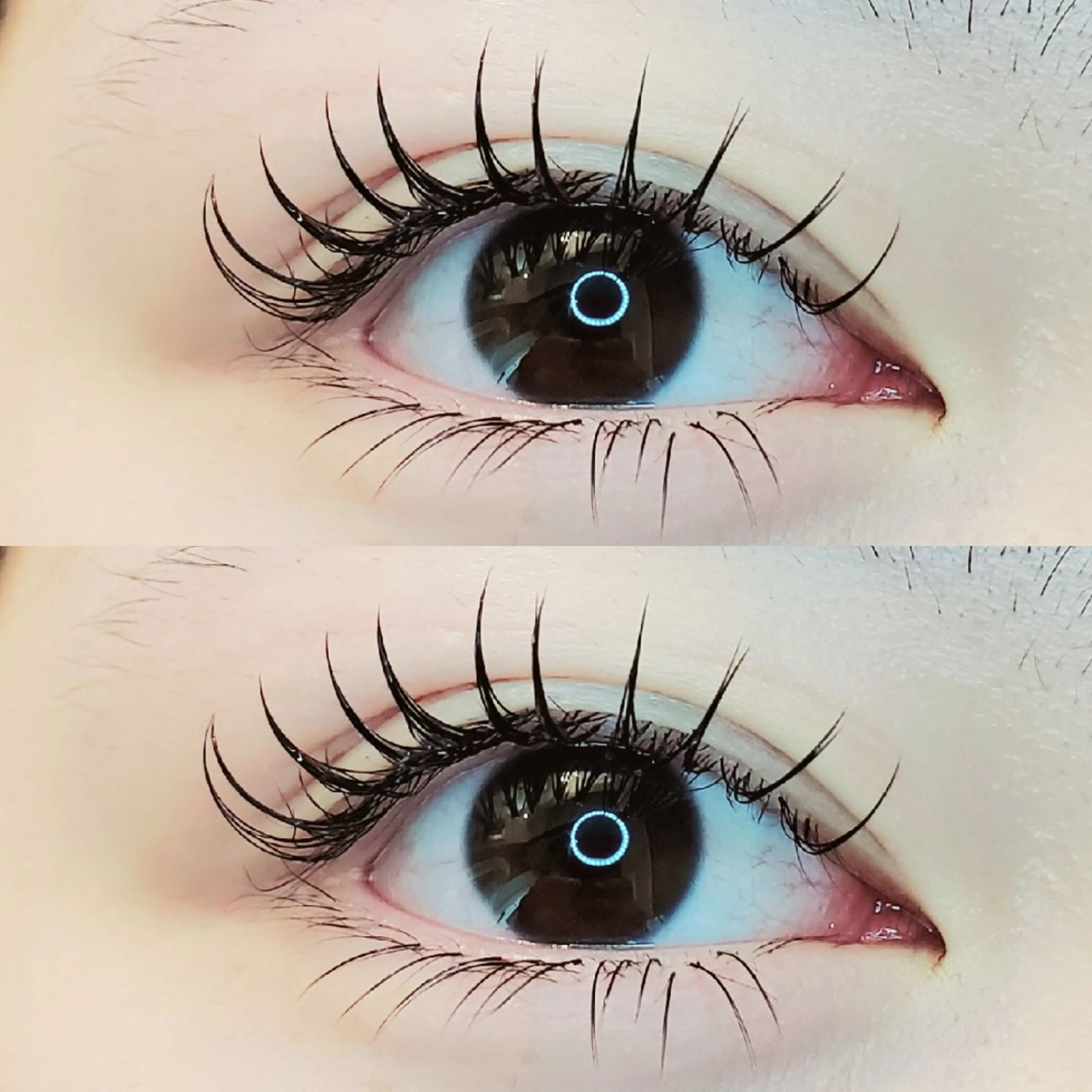 ★60分付け放題★　フラットエクステ　5000円の写真