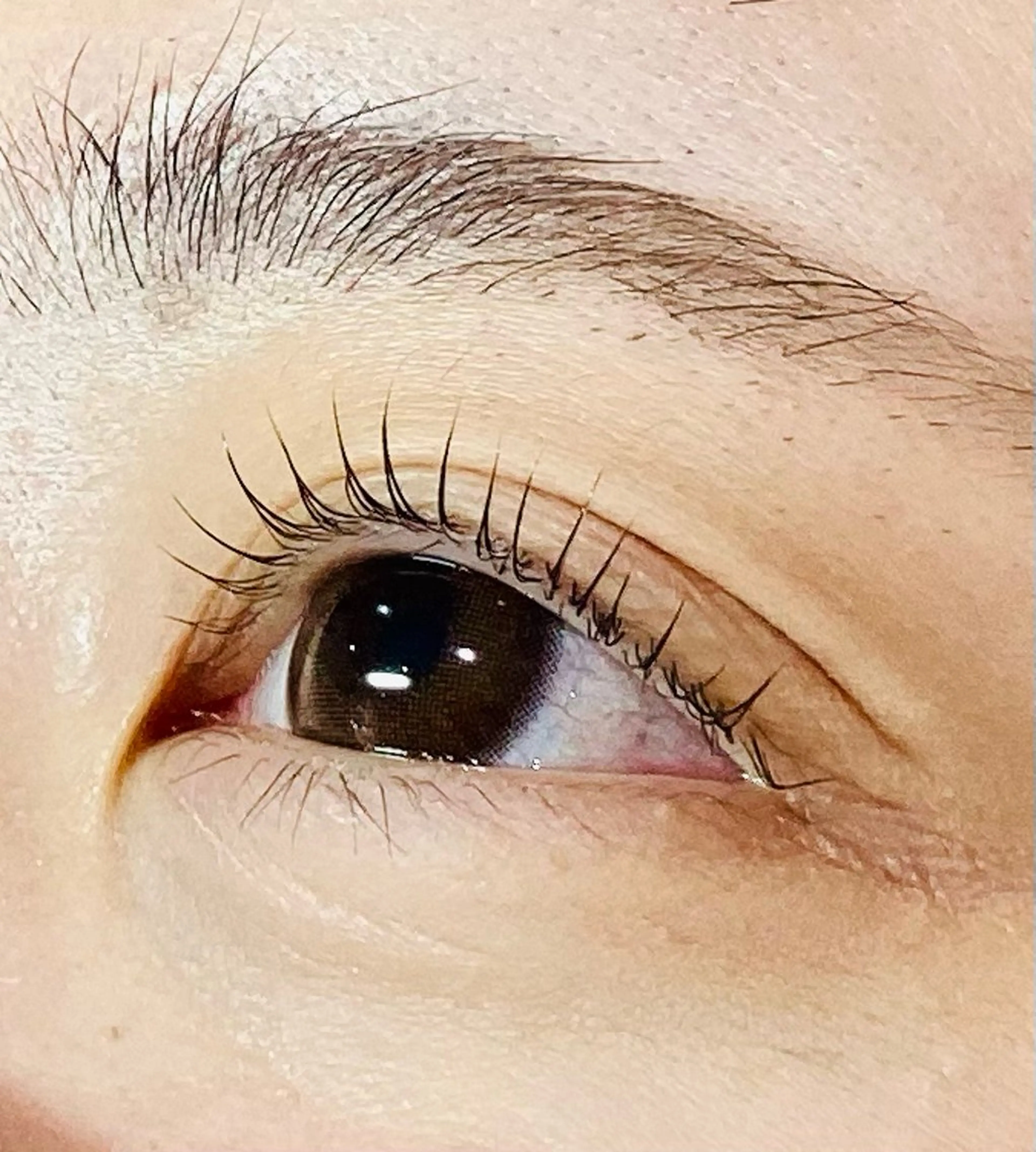 マツエク・マツパ たばた ゆう🌷のマツエク・マツパデザイン